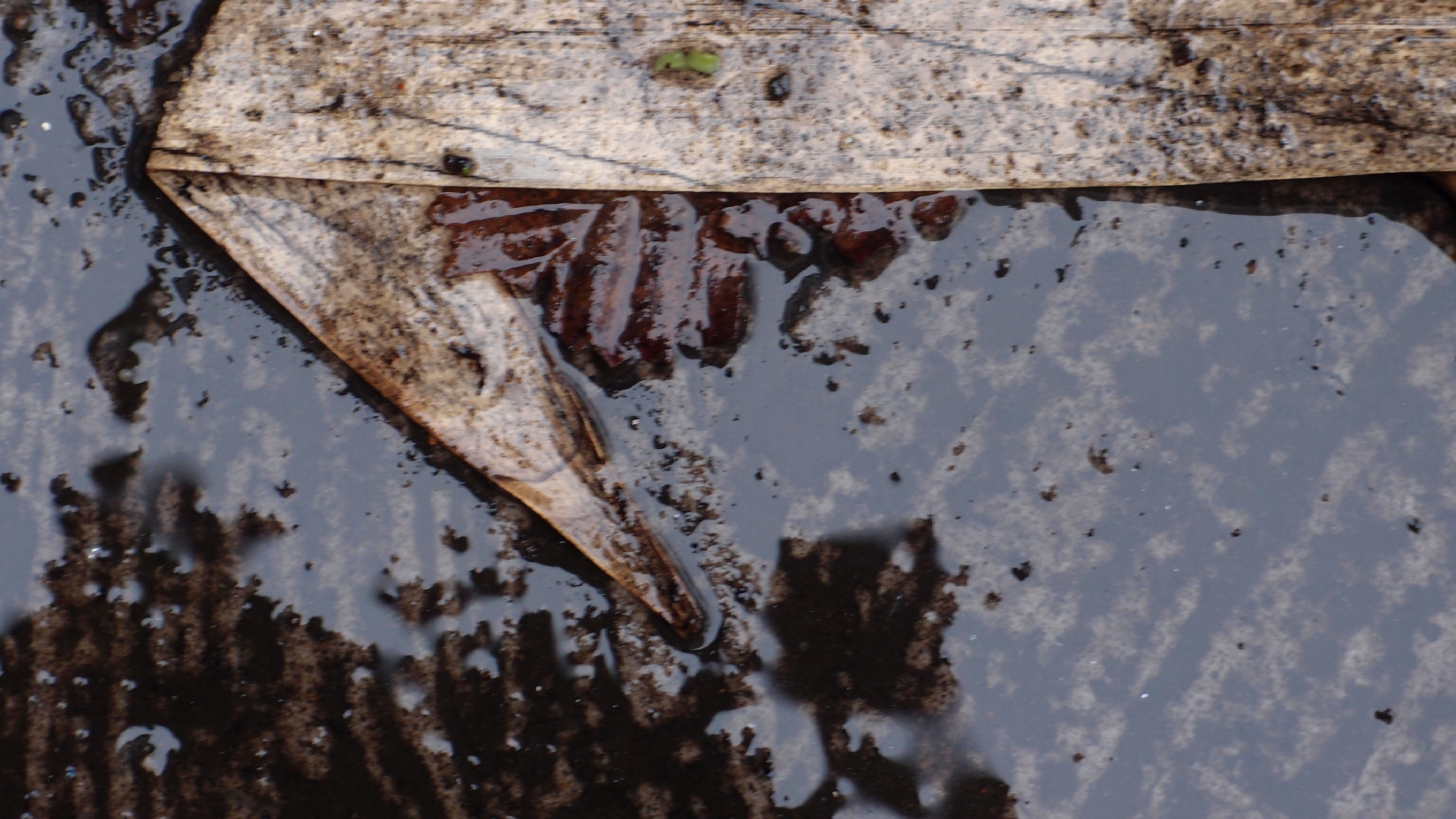 2022-02-21 Ensemble I (2 x Aluminium & Plaste) (Audio, Video)