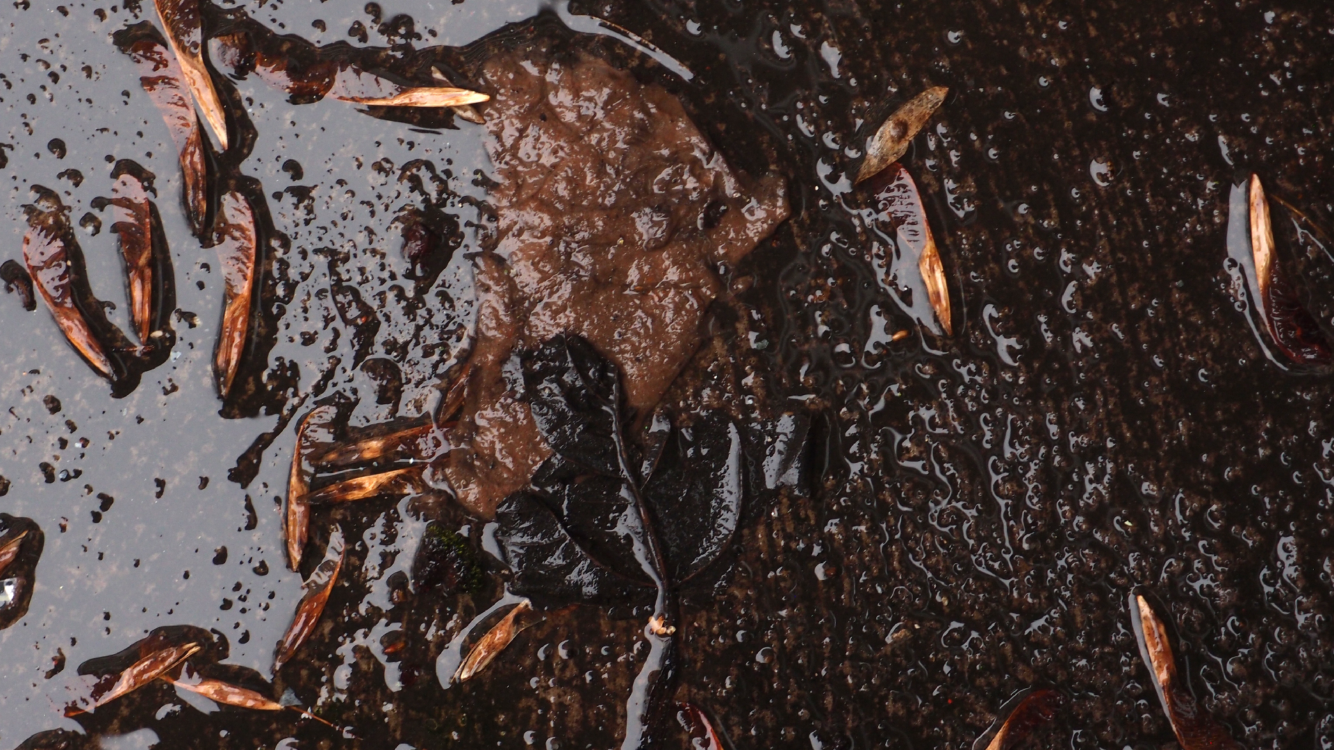 2022-02-21 Ensemble I (2 x Aluminium & Plaste) (Audio, Video)