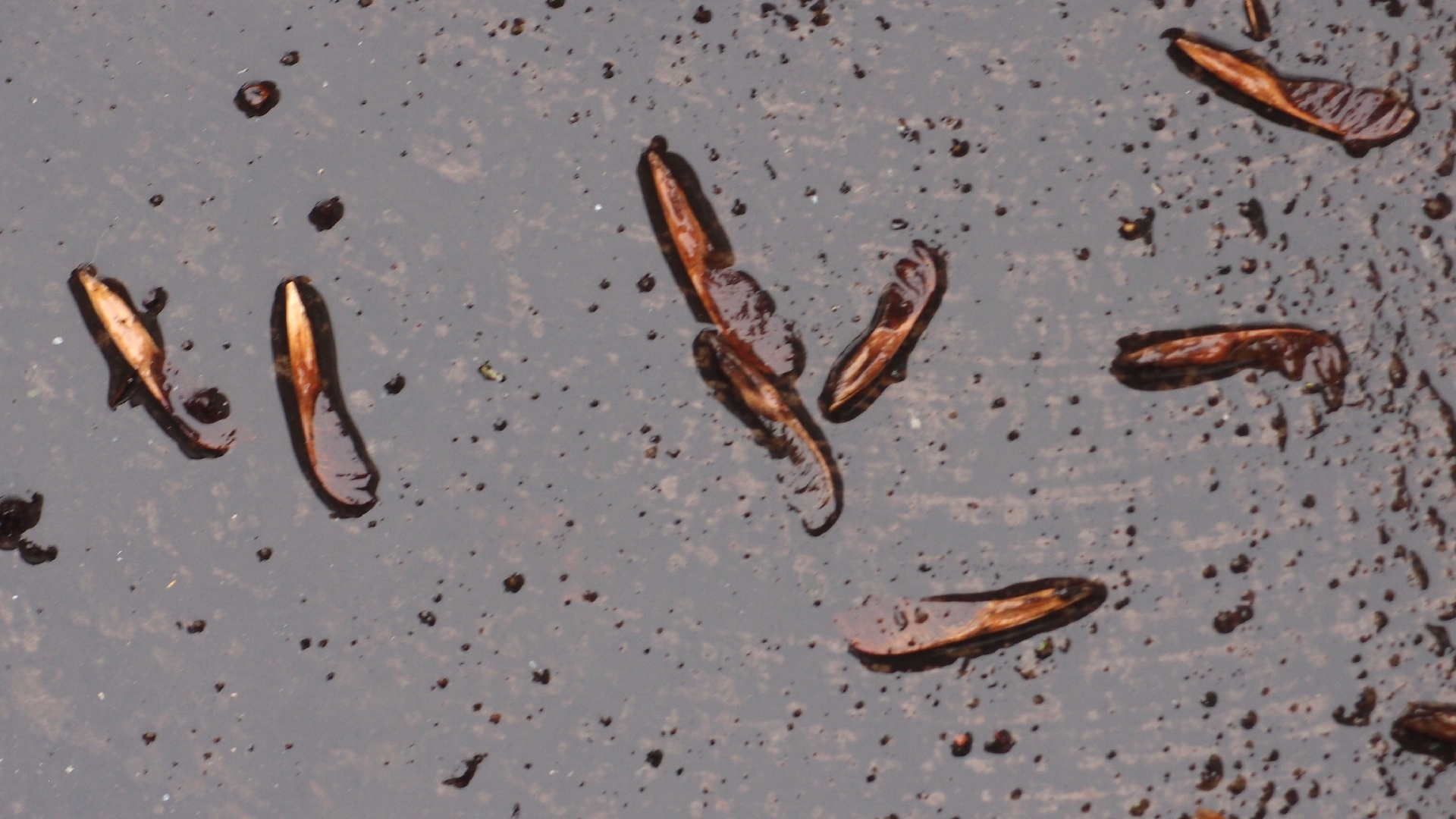 2022-02-21 Ensemble I (2 x Aluminium & Plaste) (Audio, Video)