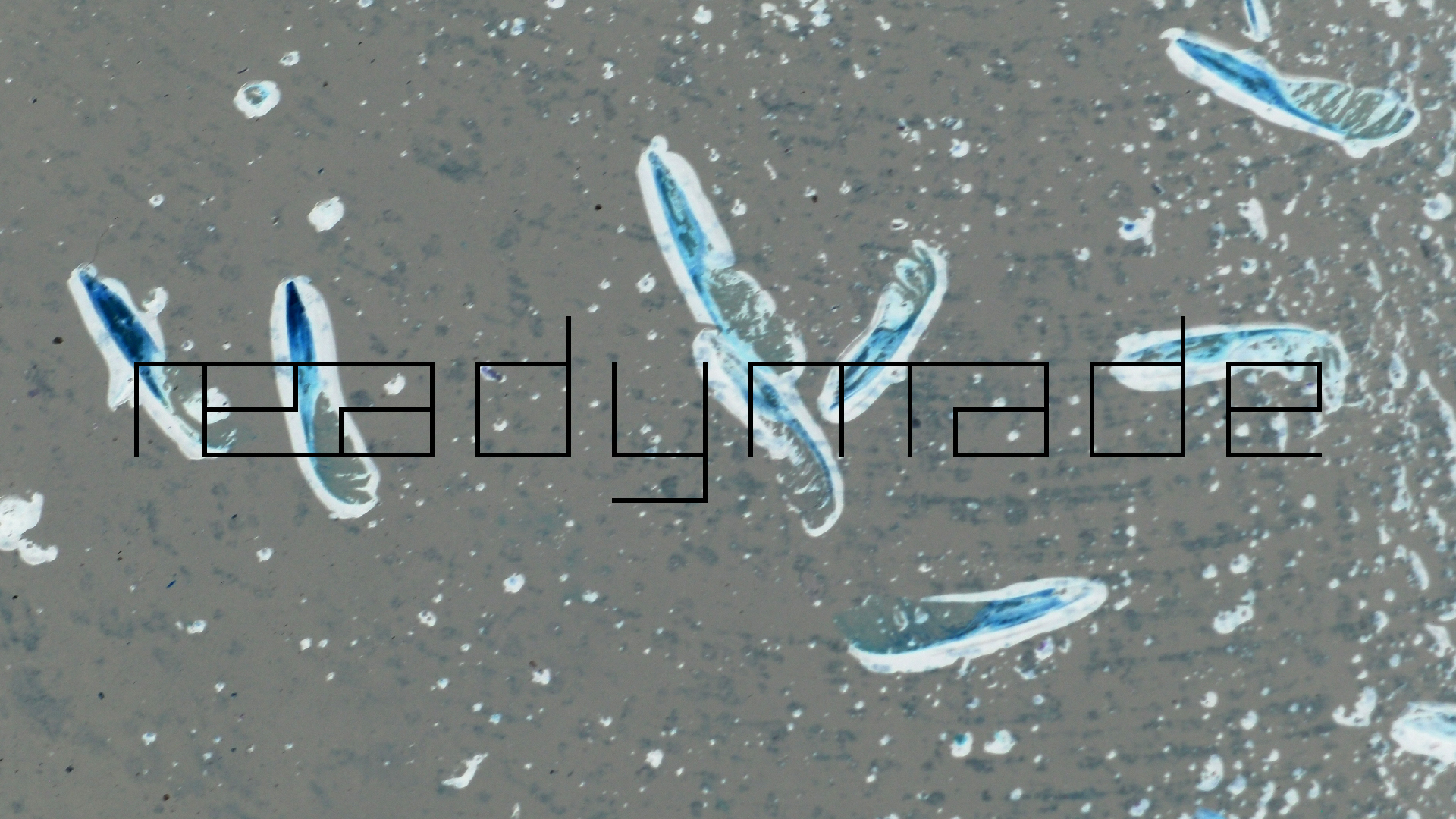 2022-02-21 Ensemble I (2 x Aluminium & Plaste) (Audio, Video)