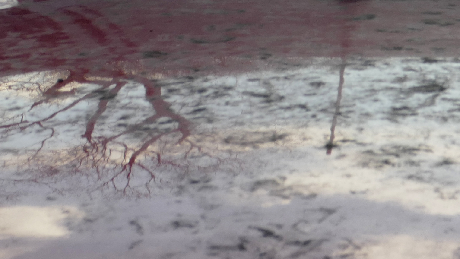 2022-02-21 Ensemble I (2 x Aluminium & Plaste) (Audio, Video)