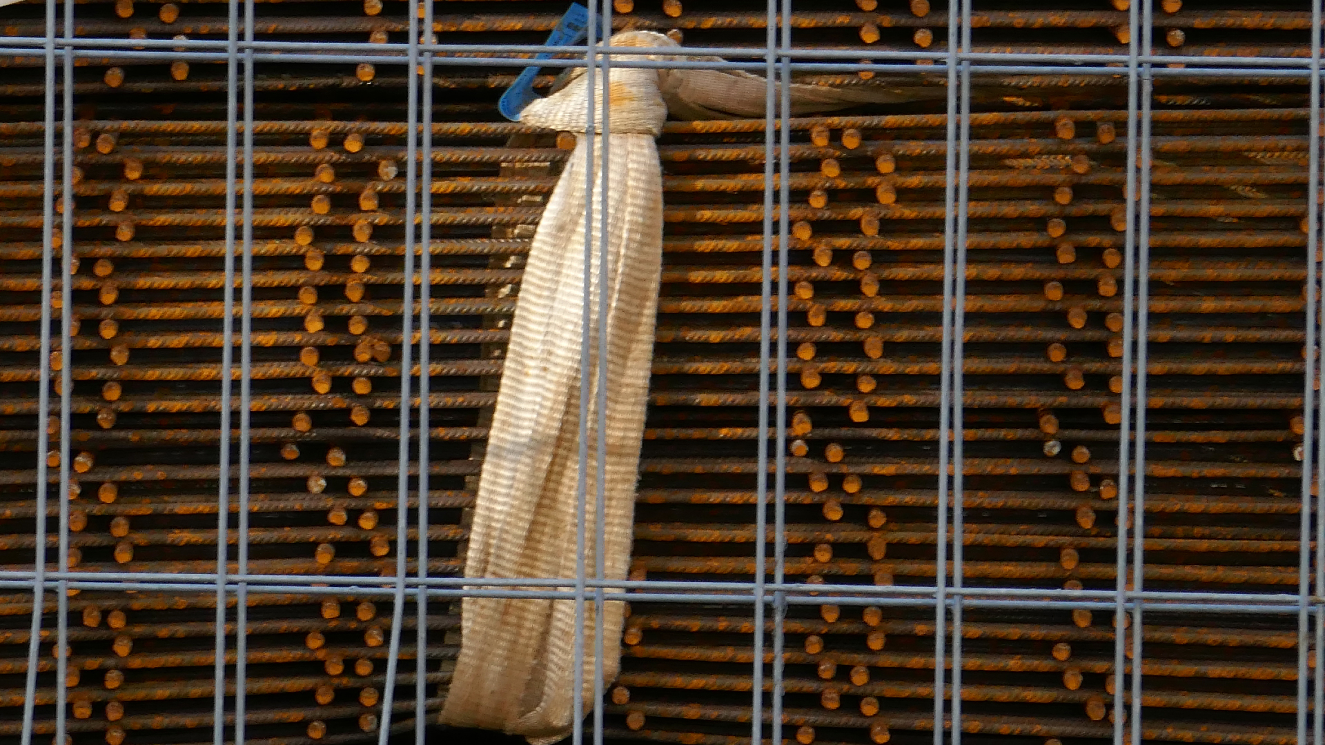 2022-02-21 Ensemble I (2 x Aluminium & Plaste) (Audio, Video)