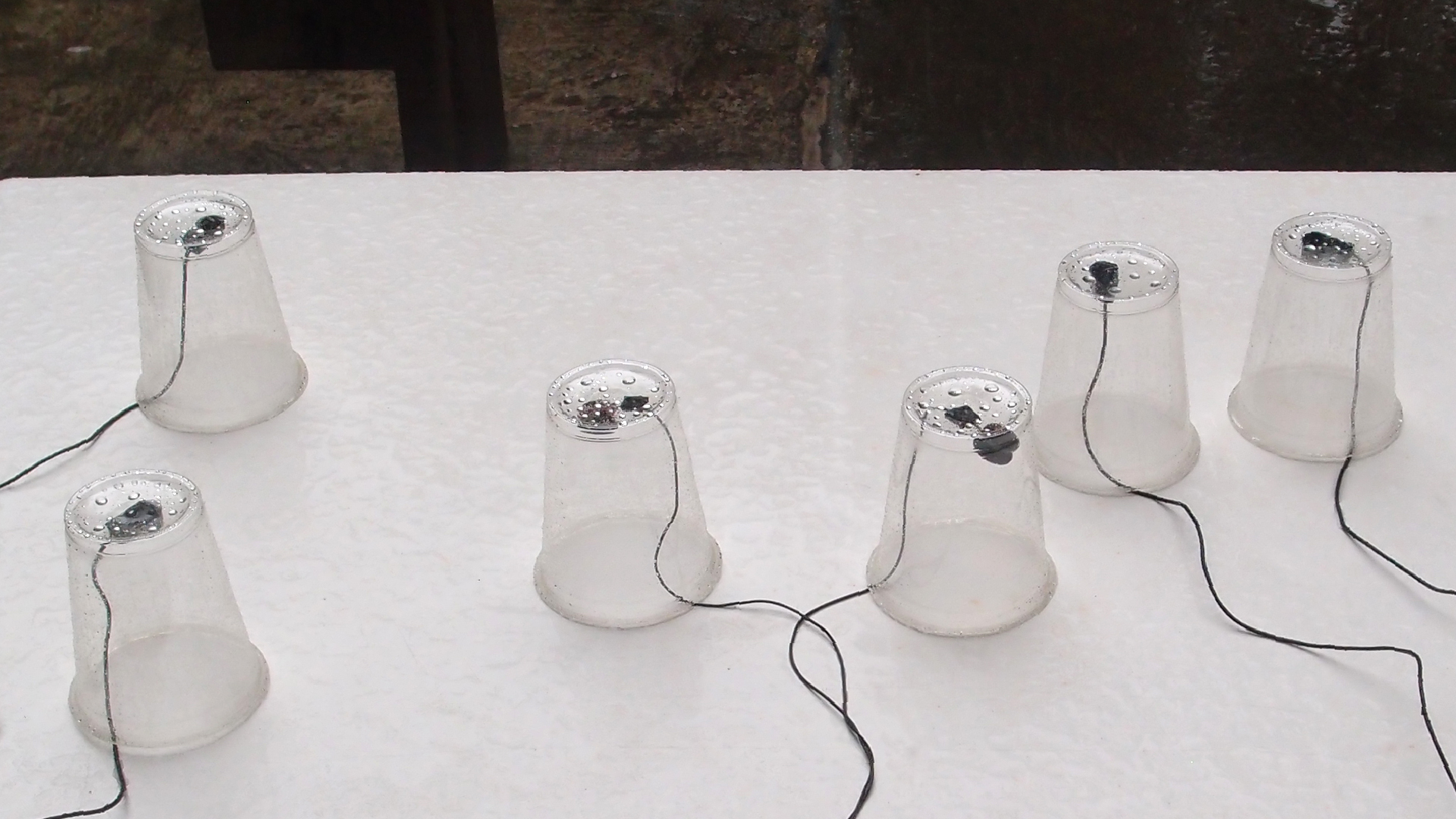 2022-05-17 Das Kleine Regen Rhythmus Orchester (Plastebecher aufm Tisch) (Audio, Video)