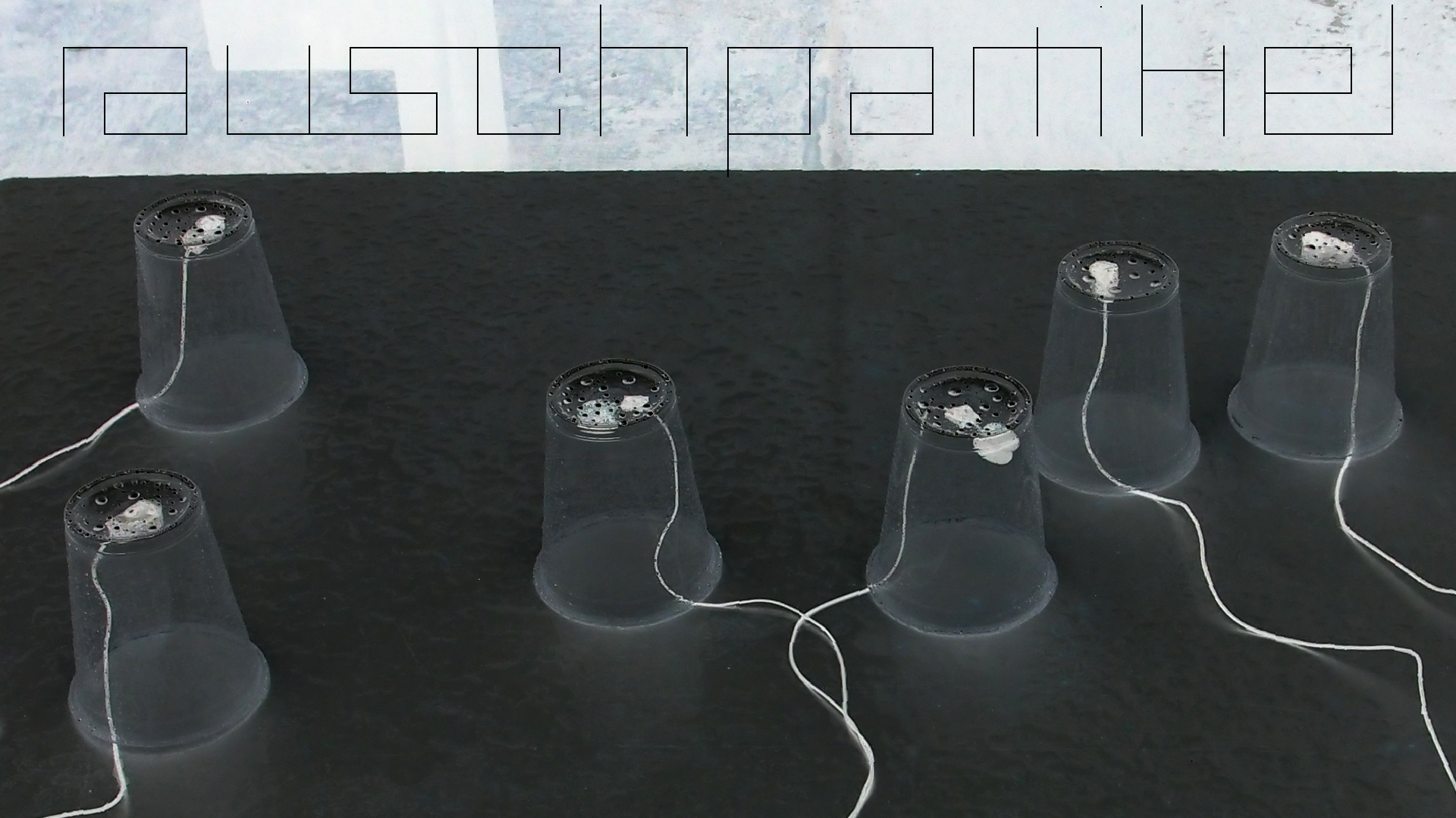 2022-05-17 Das Kleine Regen Rhythmus Orchester (Plastebecher aufm Tisch) (Audio, Video)