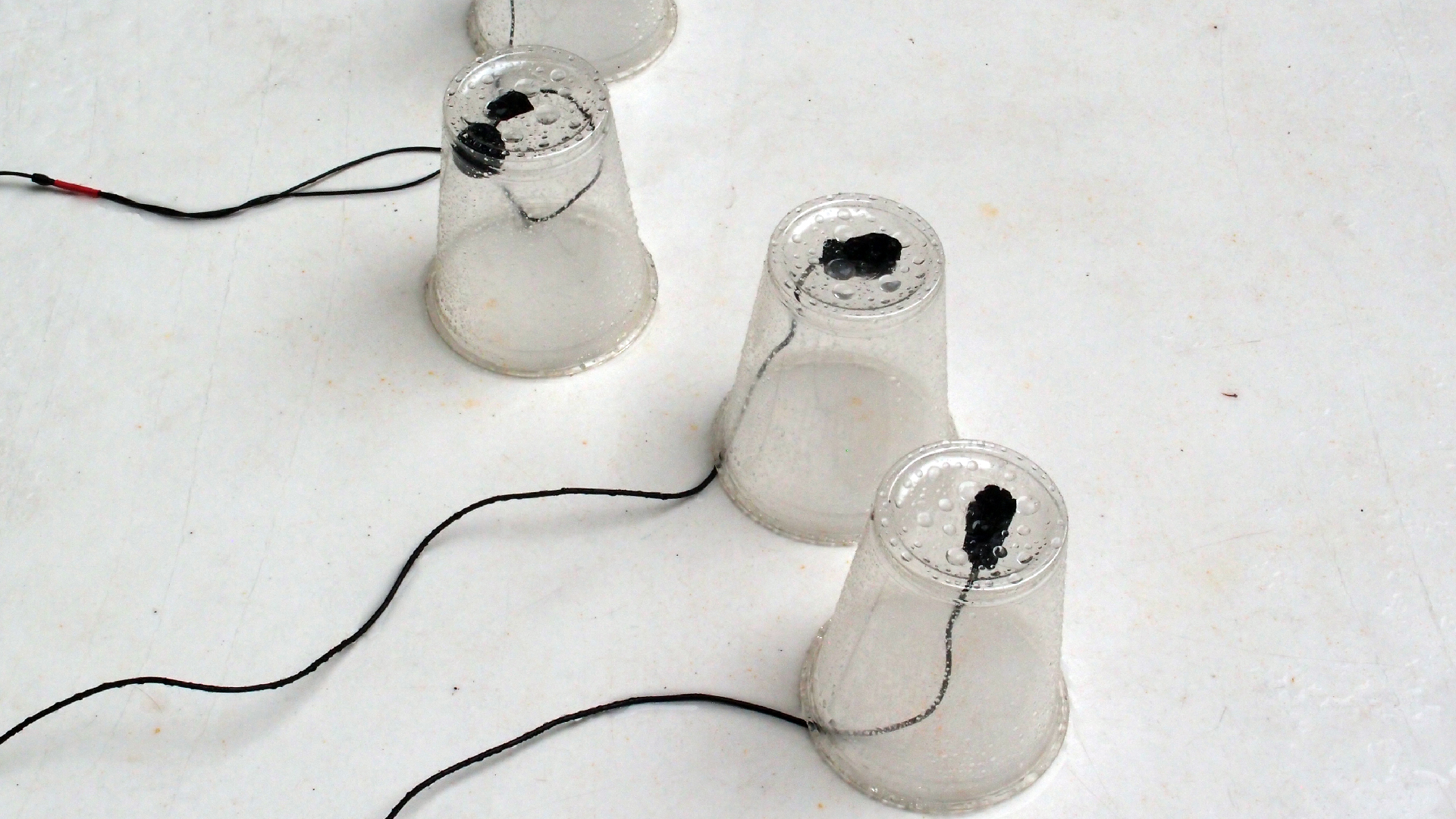 2022-05-17 Das Kleine Regen Rhythmus Orchester (Plastebecher aufm Tisch) (Audio, Video)