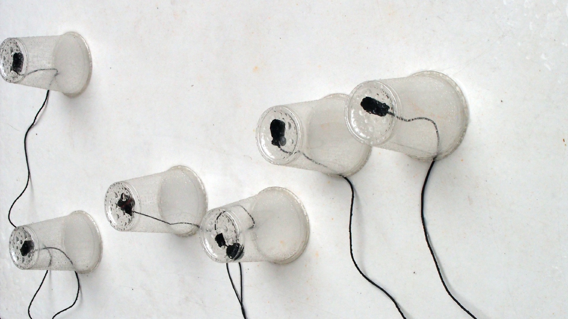 2022-05-17 Das Kleine Regen Rhythmus Orchester (Plastebecher aufm Tisch) (Audio, Video)