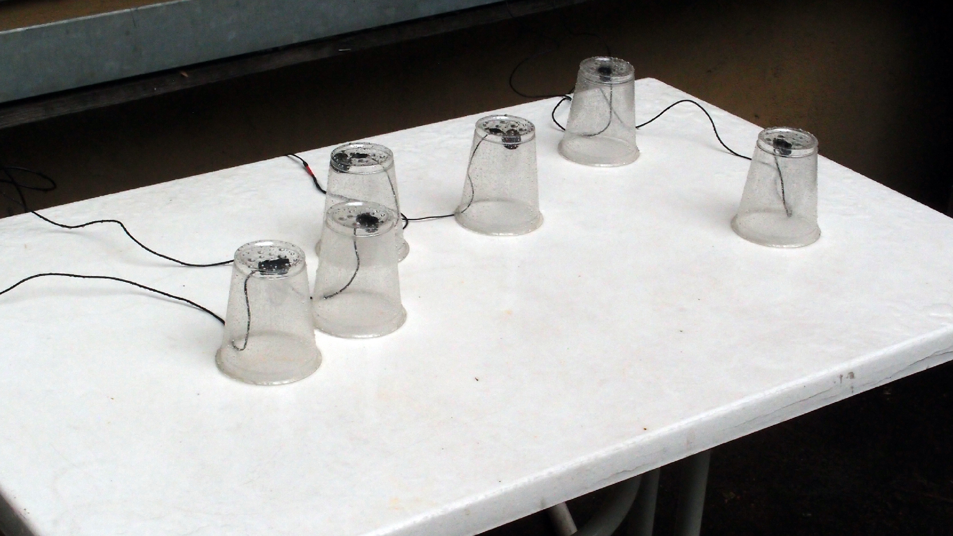 2022-02-21 Ensemble I (2 x Aluminium & Plaste) (Audio, Video)