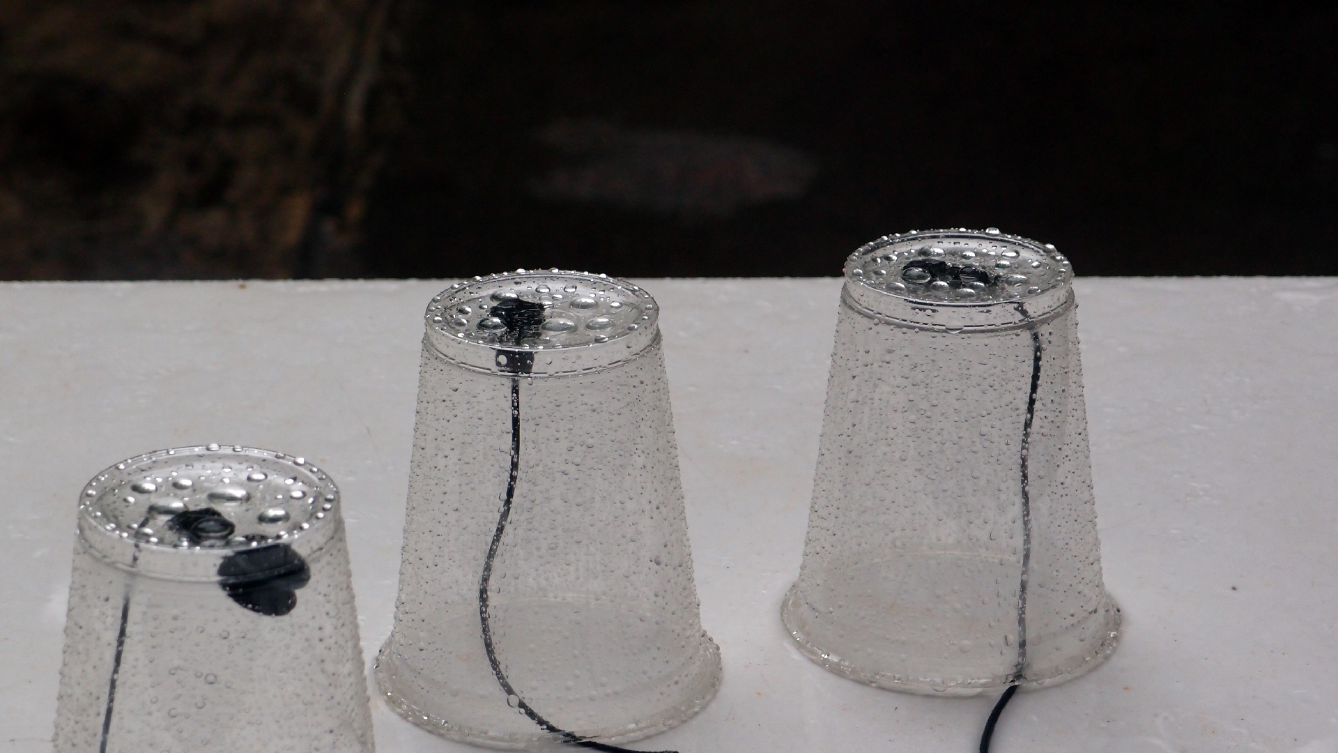 2022-05-17 Das Kleine Regen Rhythmus Orchester (Plastebecher aufm Tisch) (Audio, Video)