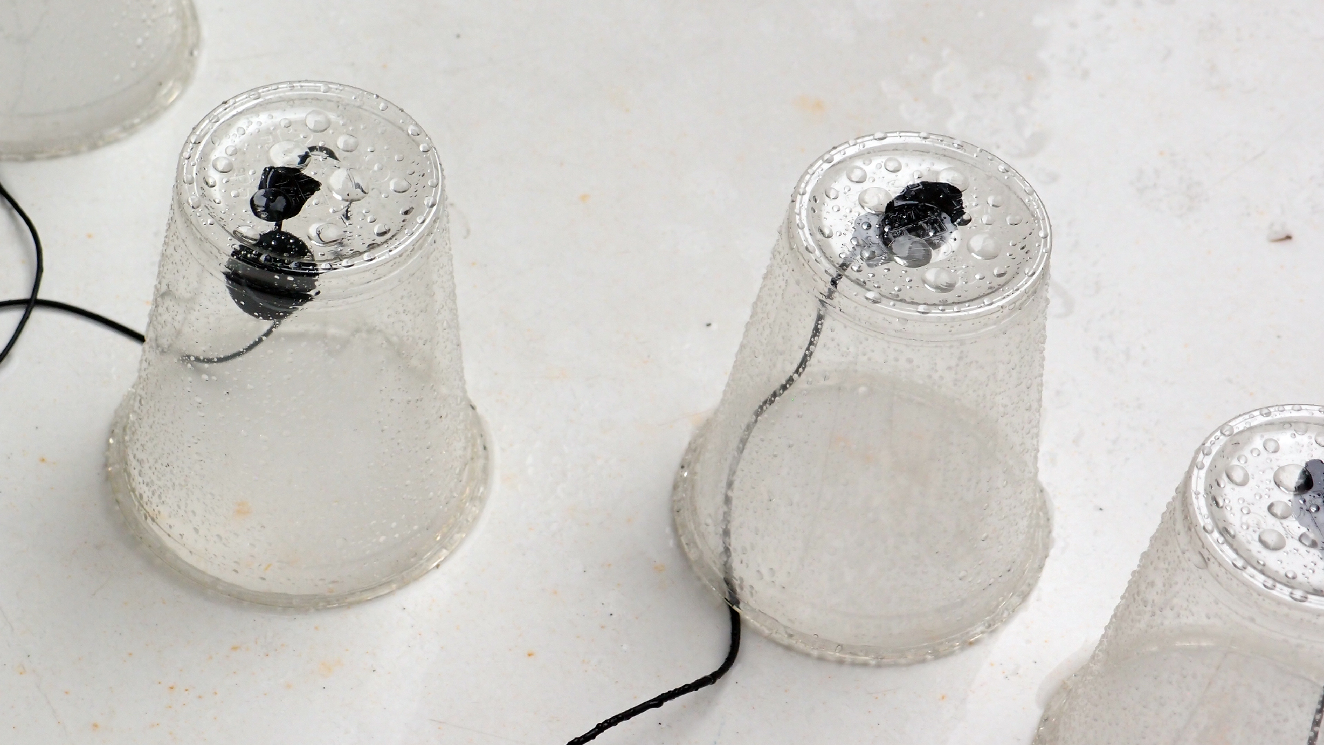 2022-05-17 Das Kleine Regen Rhythmus Orchester (Plastebecher aufm Tisch) (Audio, Video)