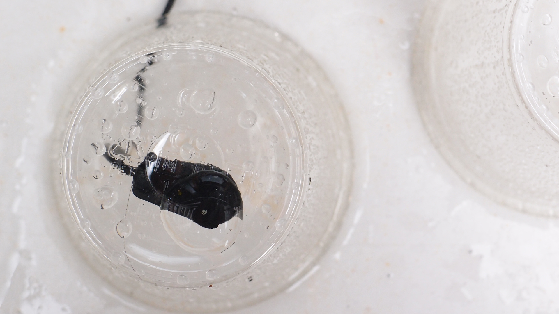 2022-05-17 Das Kleine Regen Rhythmus Orchester (Plastebecher aufm Tisch) (Audio, Video)