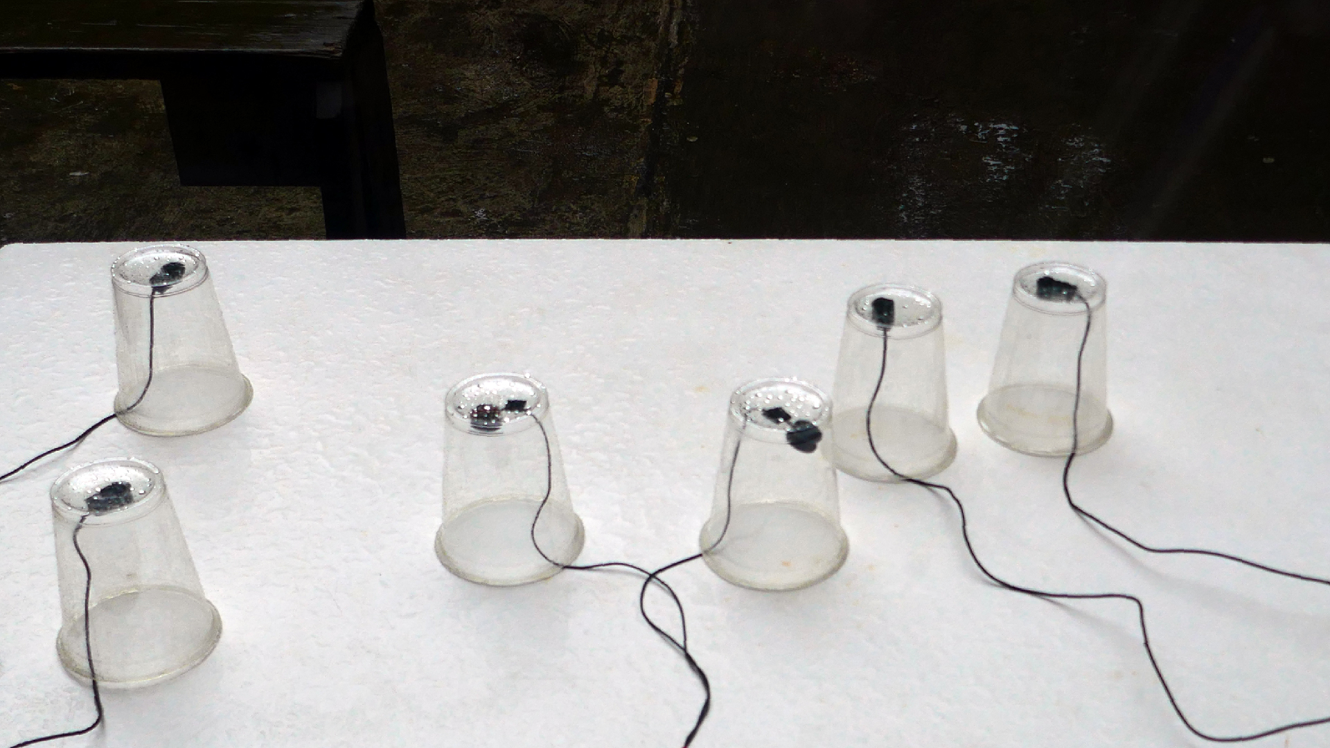 2022-05-17 Das Kleine Regen Rhythmus Orchester (Plastebecher aufm Tisch) (Audio, Video)