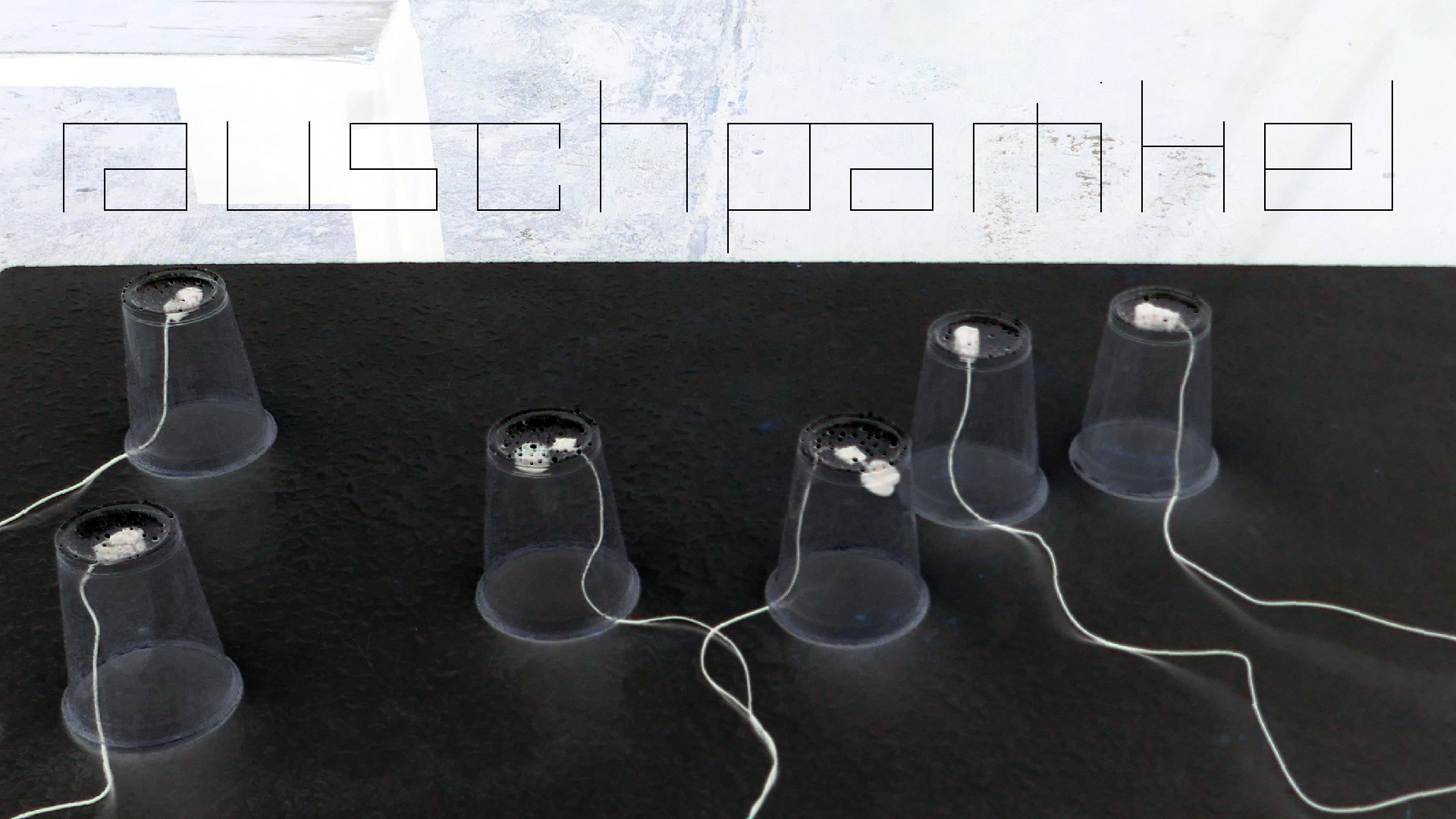 2022-05-17 Das Kleine Regen Rhythmus Orchester (Plastebecher aufm Tisch) (Audio, Video)