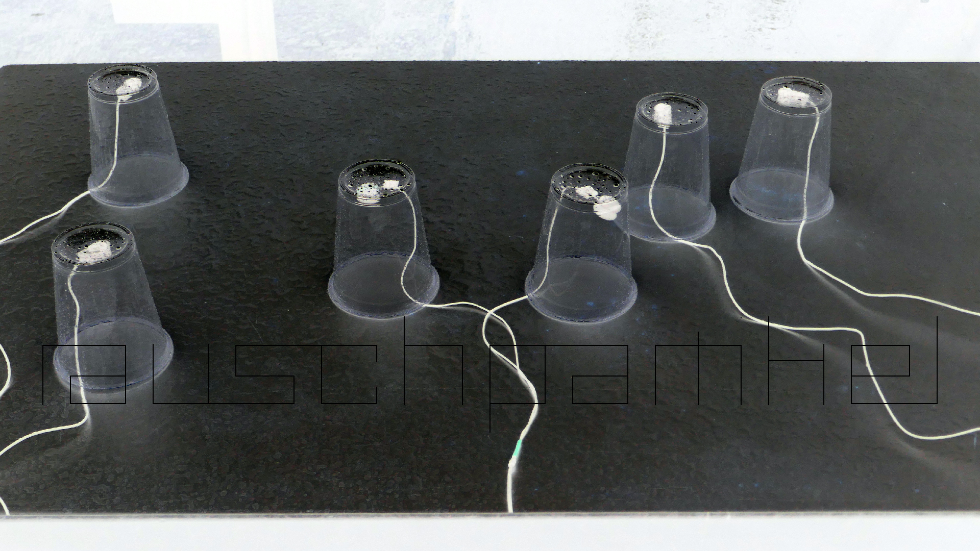 2022-05-17 Das Kleine Regen Rhythmus Orchester (Plastebecher aufm Tisch) (Audio, Video)