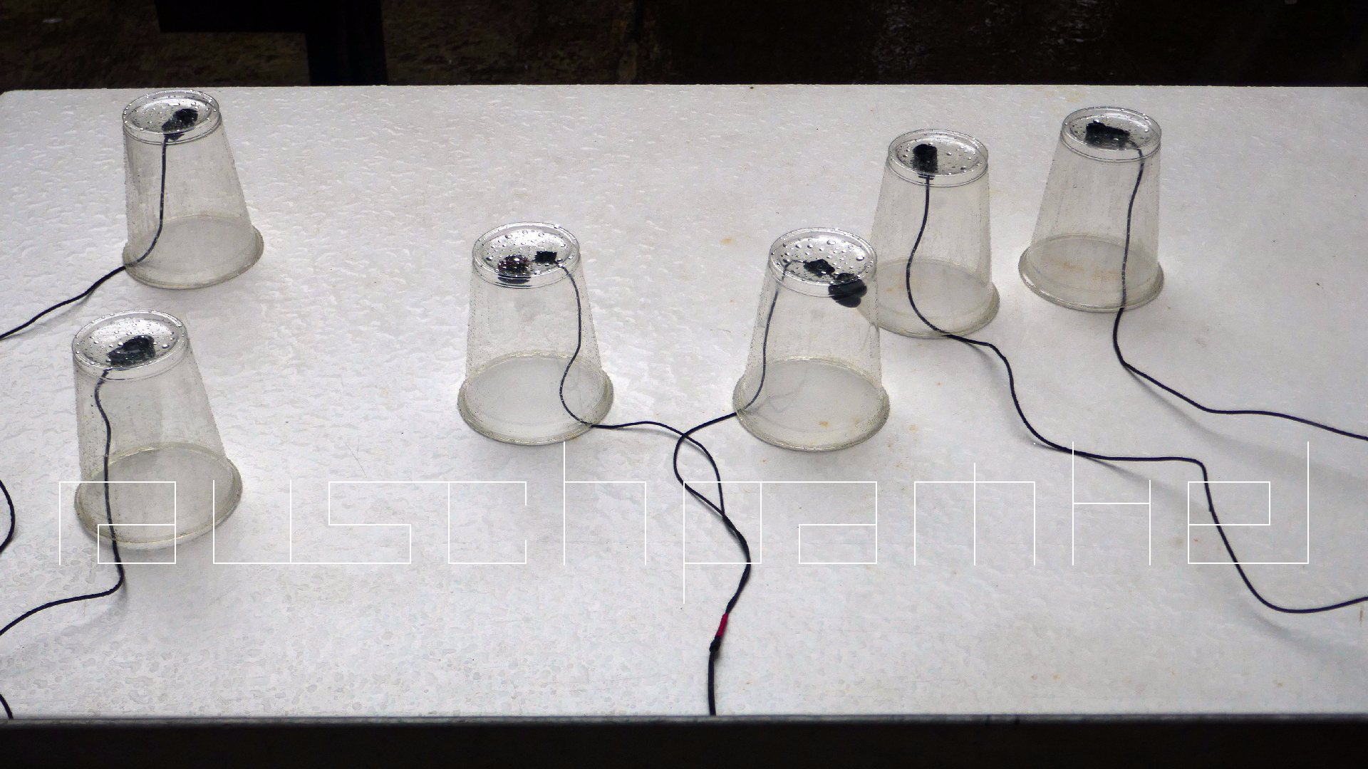 2022-05-17 Das Kleine Regen Rhythmus Orchester (Plastebecher aufm Tisch) (Audio, Video)