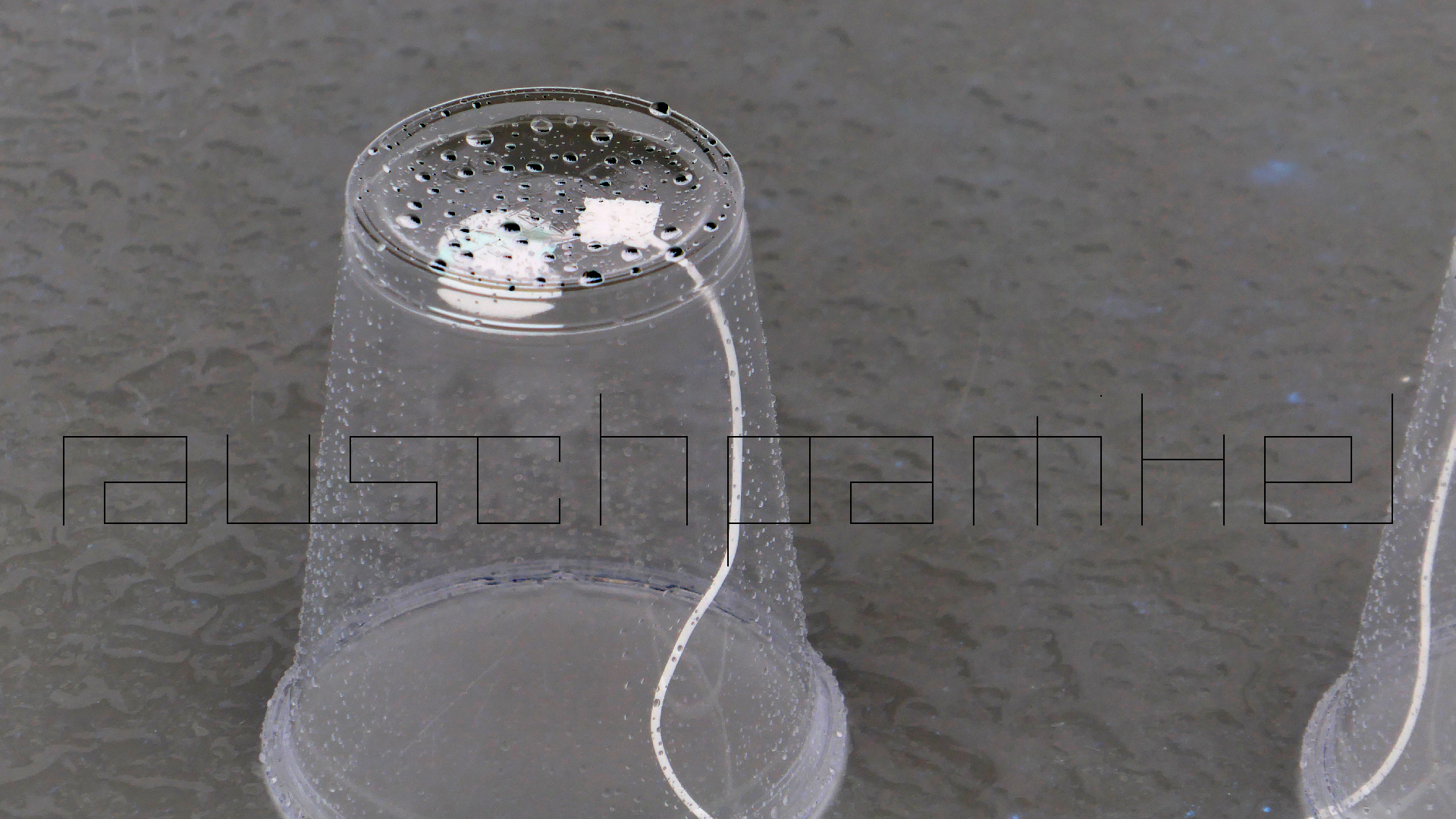 2022-05-17 Das Kleine Regen Rhythmus Orchester (Plastebecher aufm Tisch) (Audio, Video)