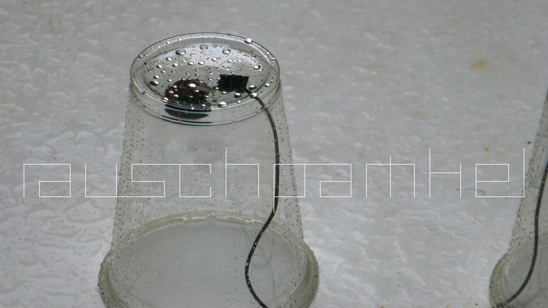 2022-05-17 Das Kleine Regen Rhythmus Orchester (Plastebecher aufm Tisch) (Audio, Video)