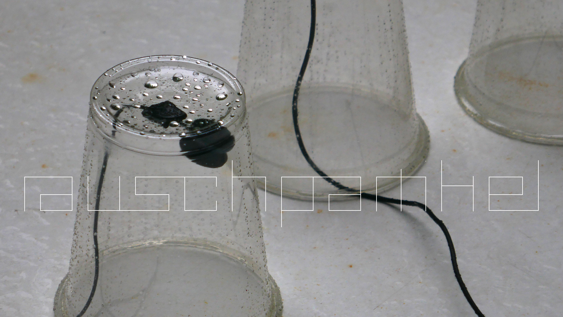 2022-05-17 Das Kleine Regen Rhythmus Orchester (Plastebecher aufm Tisch) (Audio, Video)