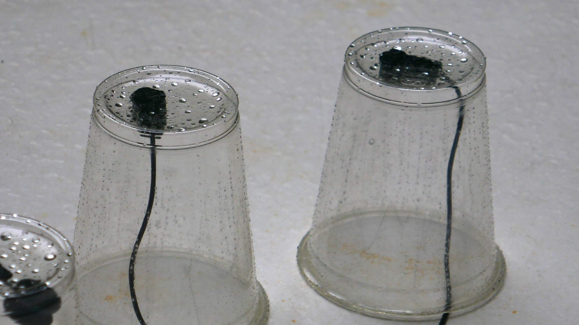 2022-05-17 Das Kleine Regen Rhythmus Orchester (Plastebecher aufm Tisch) (Audio, Video)