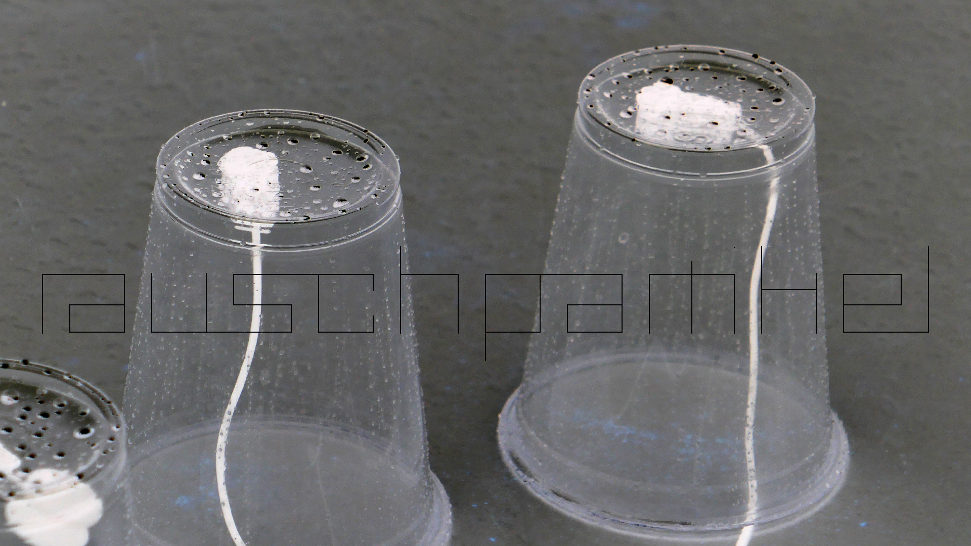 2022-05-17 Das Kleine Regen Rhythmus Orchester (Plastebecher aufm Tisch) (Audio, Video)