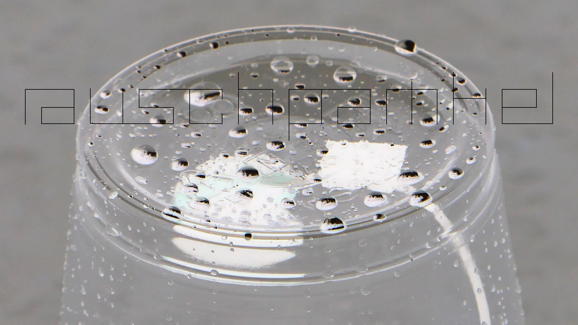 2022-05-17 Das Kleine Regen Rhythmus Orchester (Plastebecher aufm Tisch) (Audio, Video)