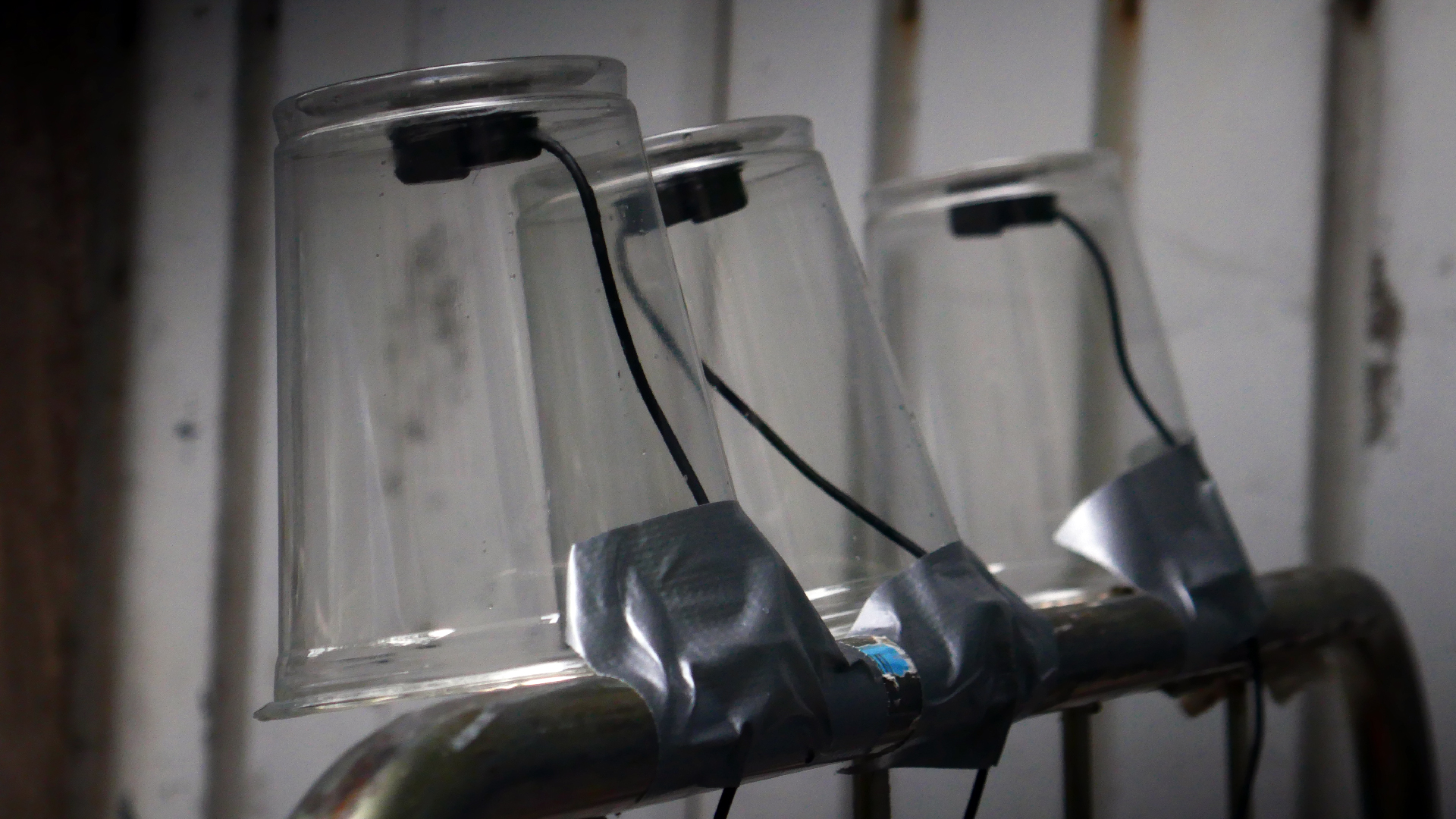 2022-05-20 Das Kleine Regen Rhythmus Orchester (Plastebecher aufm Rolli) (Audio, Video)