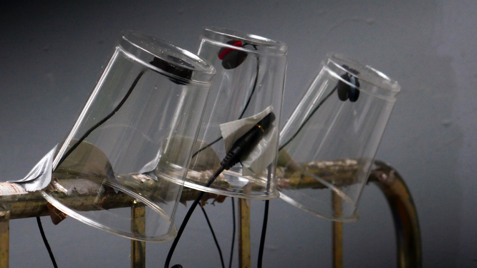 2022-05-20 Das Kleine Regen Rhythmus Orchester (Plastebecher aufm Rolli) (Audio, Video)