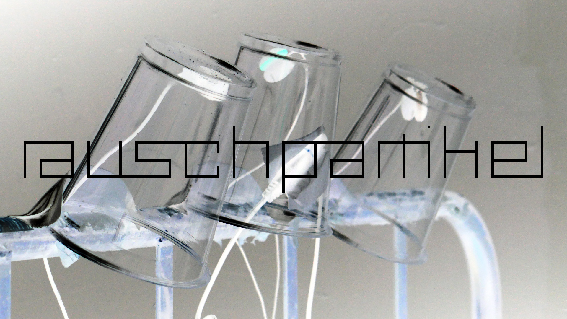 2022-05-20 Das Kleine Regen Rhythmus Orchester (Plastebecher aufm Rolli) (Audio, Video)