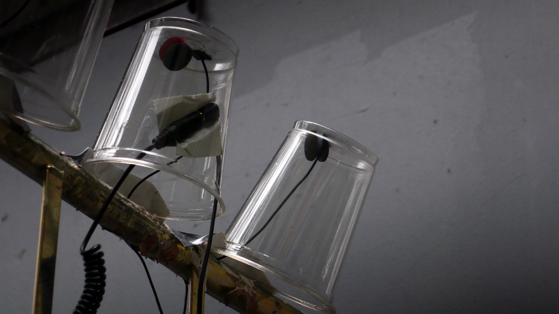 2022-05-20 Das Kleine Regen Rhythmus Orchester (Plastebecher aufm Rolli) (Audio, Video)