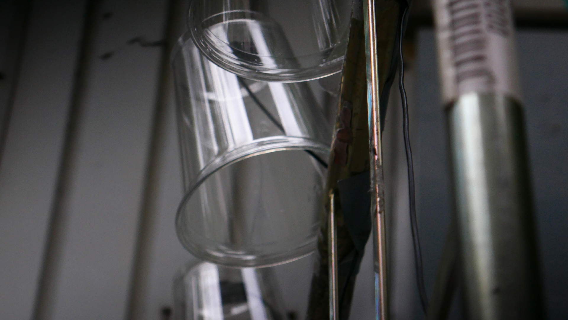 2022-05-20 Das Kleine Regen Rhythmus Orchester (Plastebecher aufm Rolli) (Audio, Video)