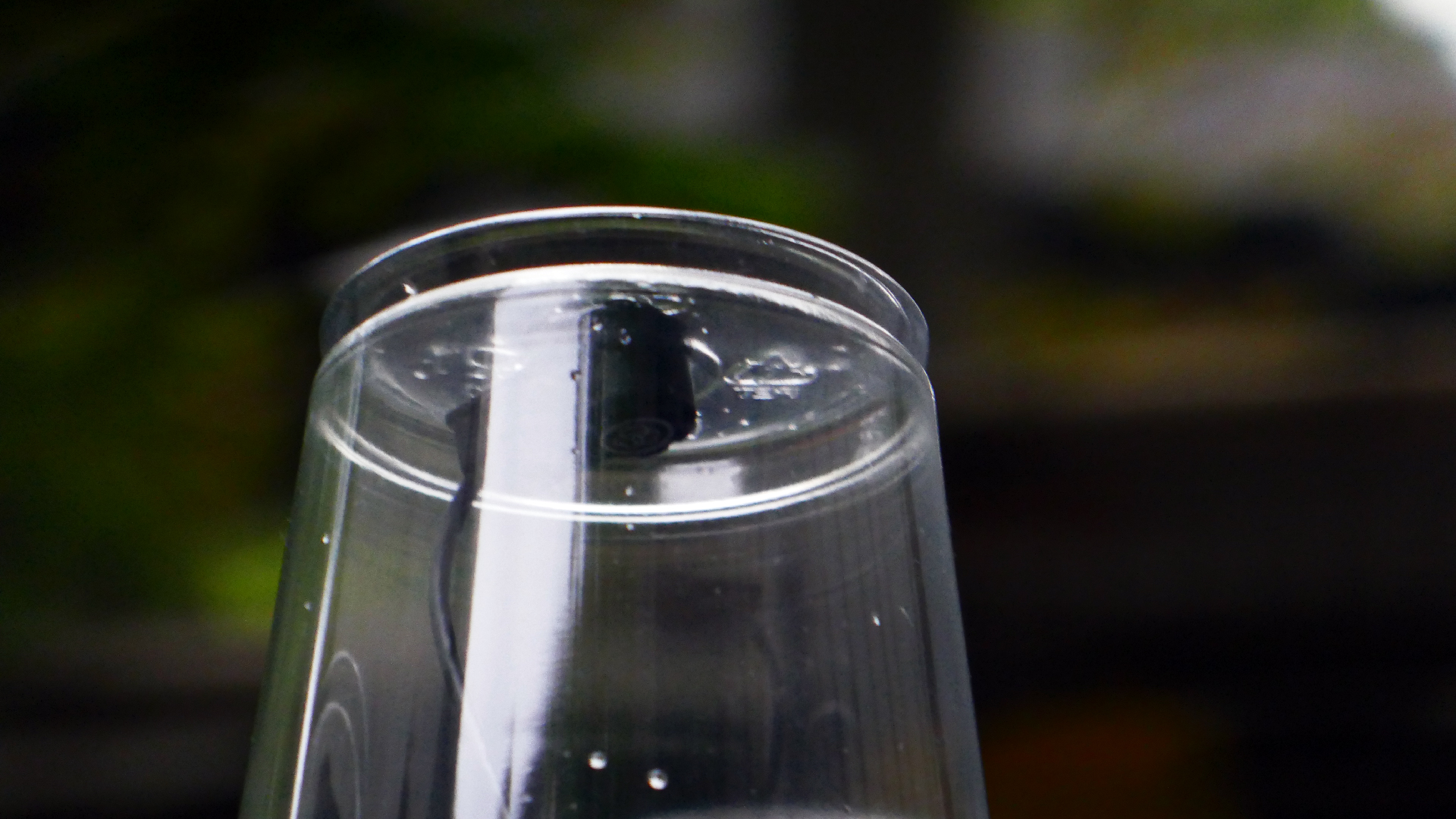 2022-05-20 Das Kleine Regen Rhythmus Orchester (Plastebecher aufm Rolli) (Audio, Video)