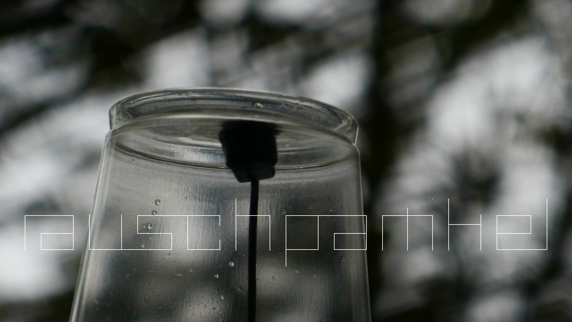 2022-05-20 Das Kleine Regen Rhythmus Orchester (Plastebecher aufm Rolli) (Audio, Video)