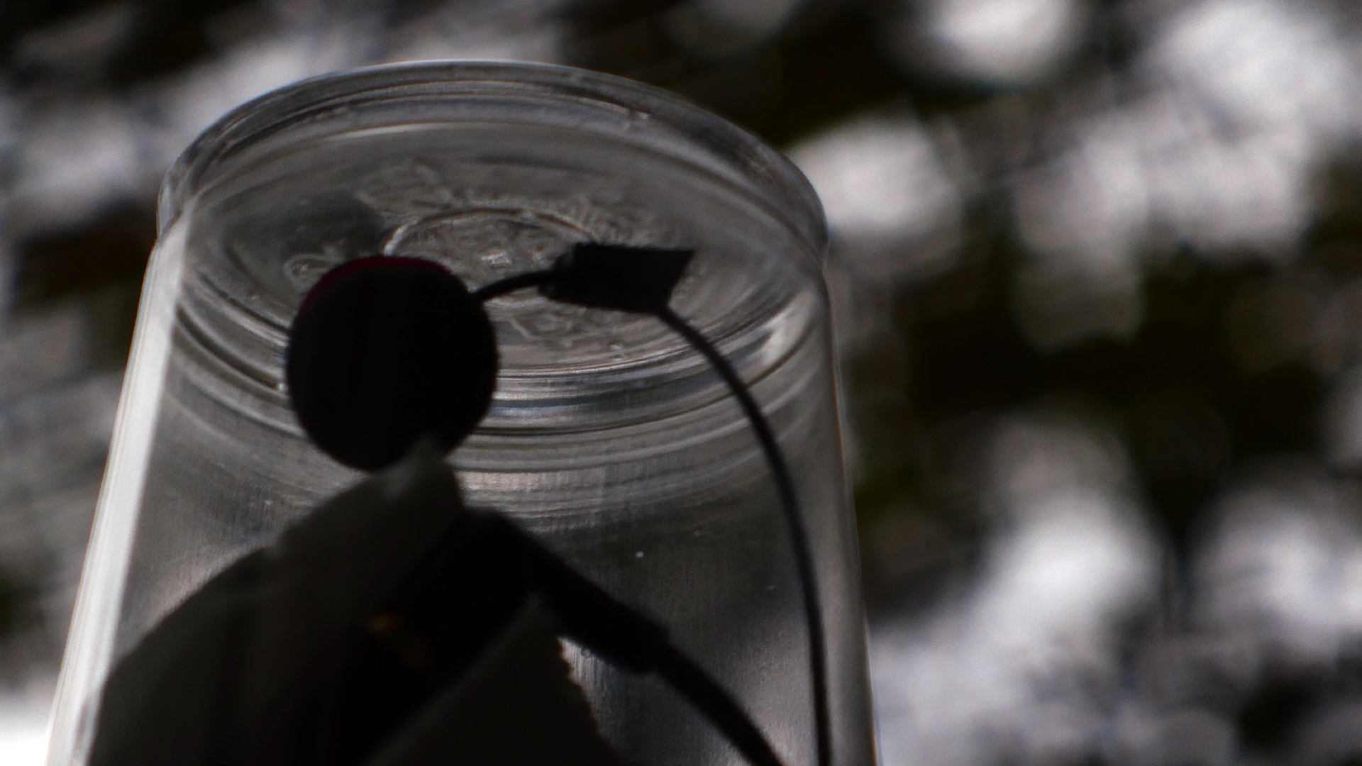 2022-05-20 Das Kleine Regen Rhythmus Orchester (Plastebecher aufm Rolli) (Audio, Video)