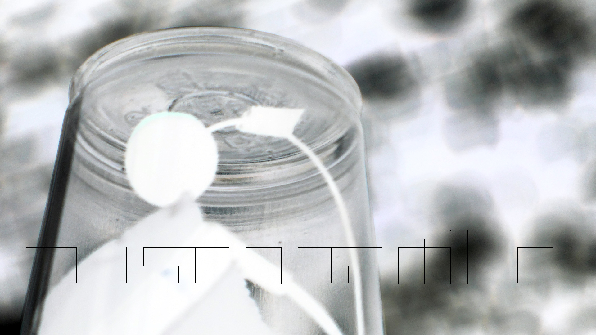 2022-05-20 Das Kleine Regen Rhythmus Orchester (Plastebecher aufm Rolli) (Audio, Video)