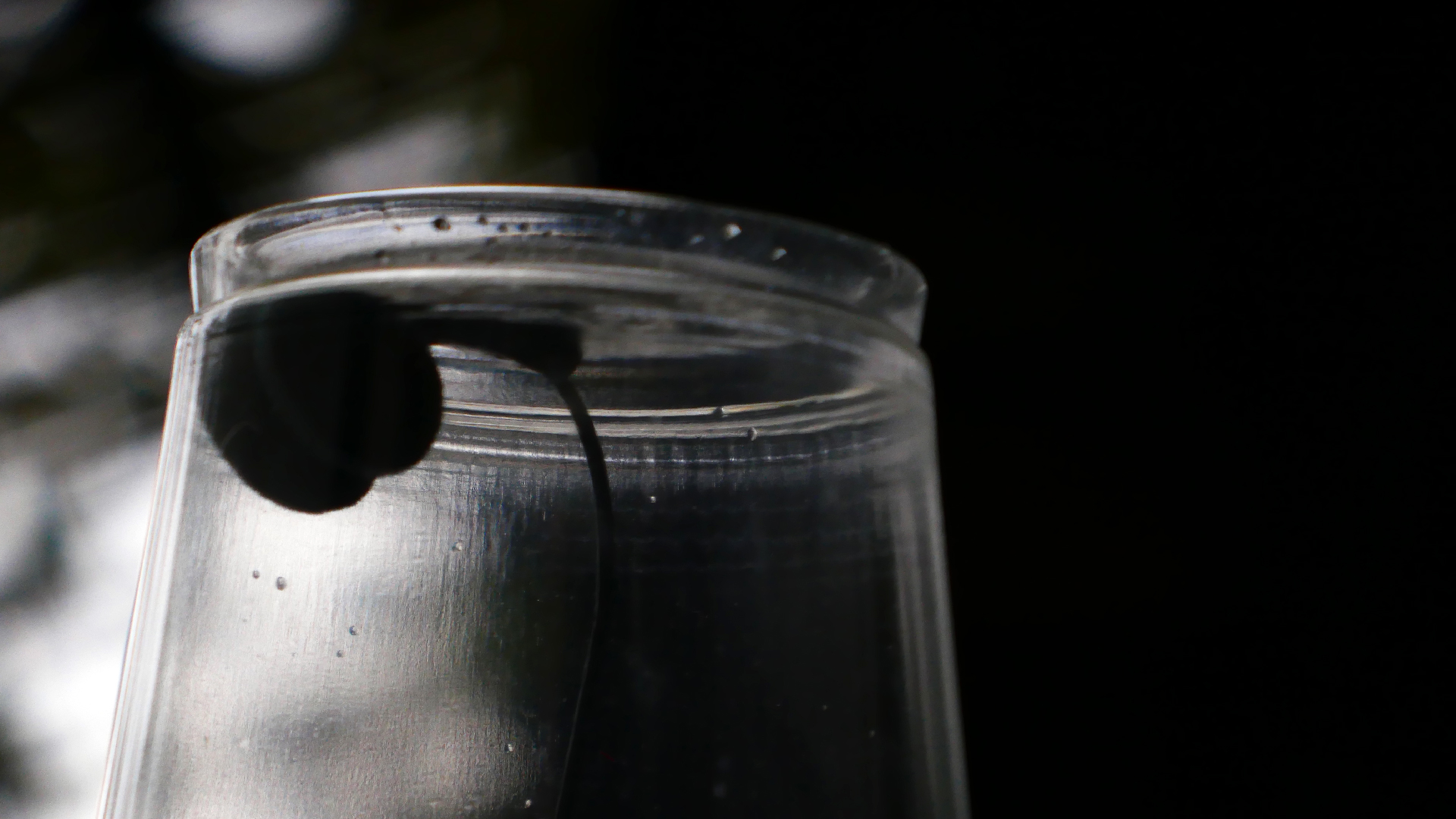 2022-05-20 Das Kleine Regen Rhythmus Orchester (Plastebecher aufm Rolli) (Audio, Video)