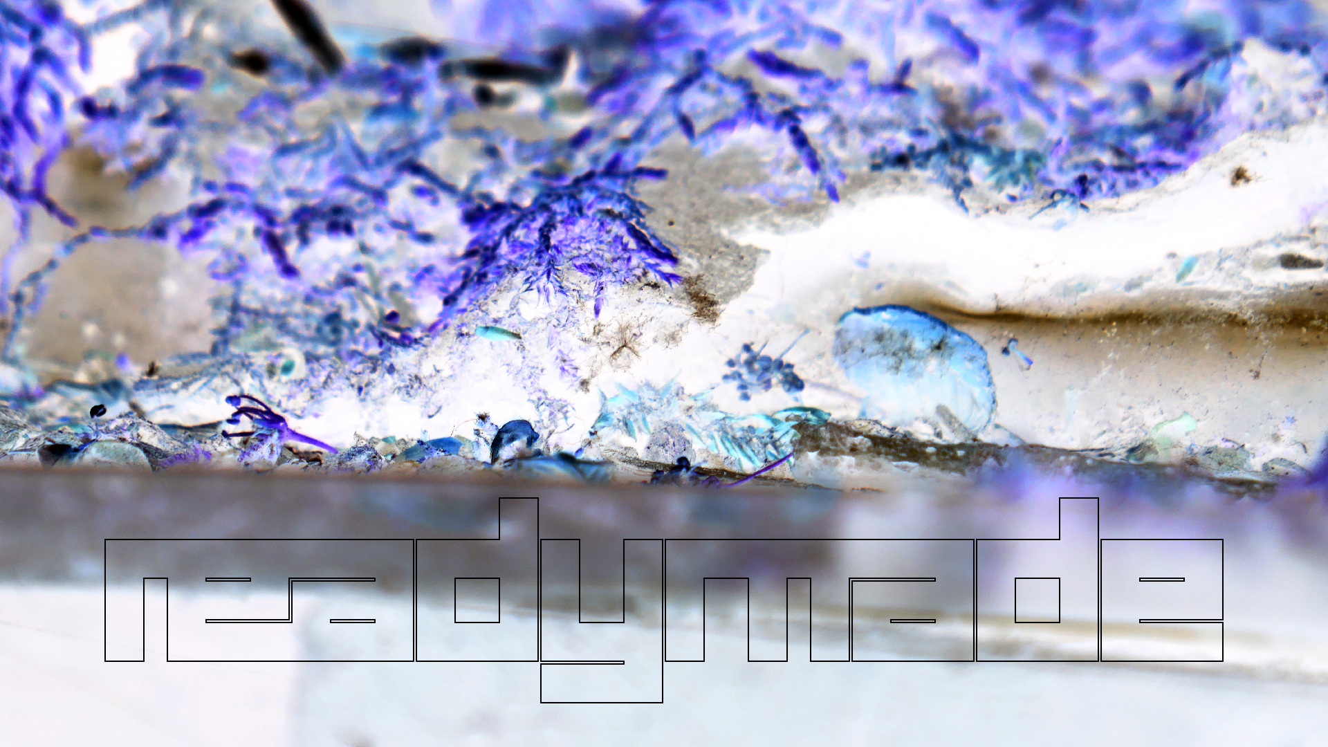 2022-05-23 Das Kleine Regen Rhythmus Orchester (Plastedach) (Audio, Video)