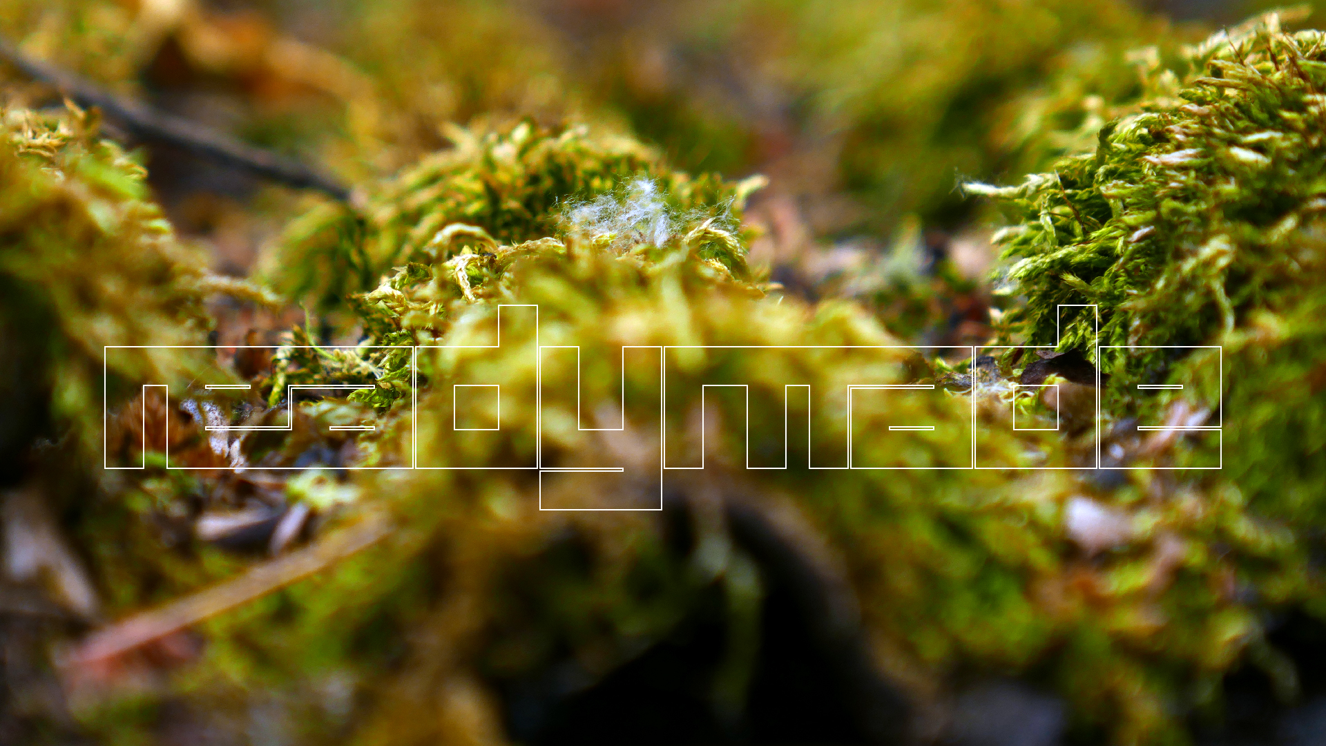 2022-05-23 Das Kleine Regen Rhythmus Orchester (Plastedach) (Audio, Video)