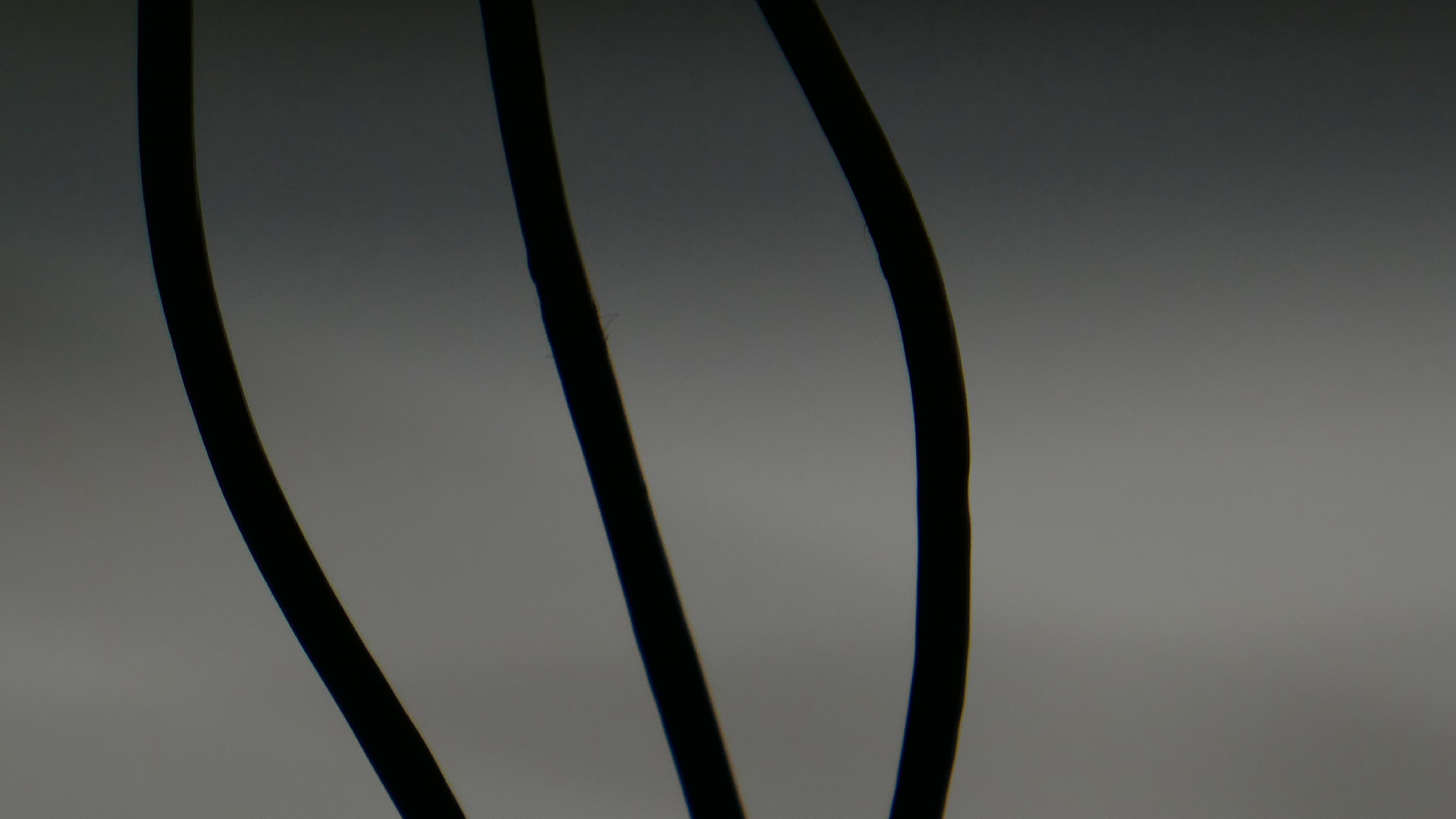 2022-05-23 Das Kleine Regen Rhythmus Orchester (Plastedach) (Audio, Video)