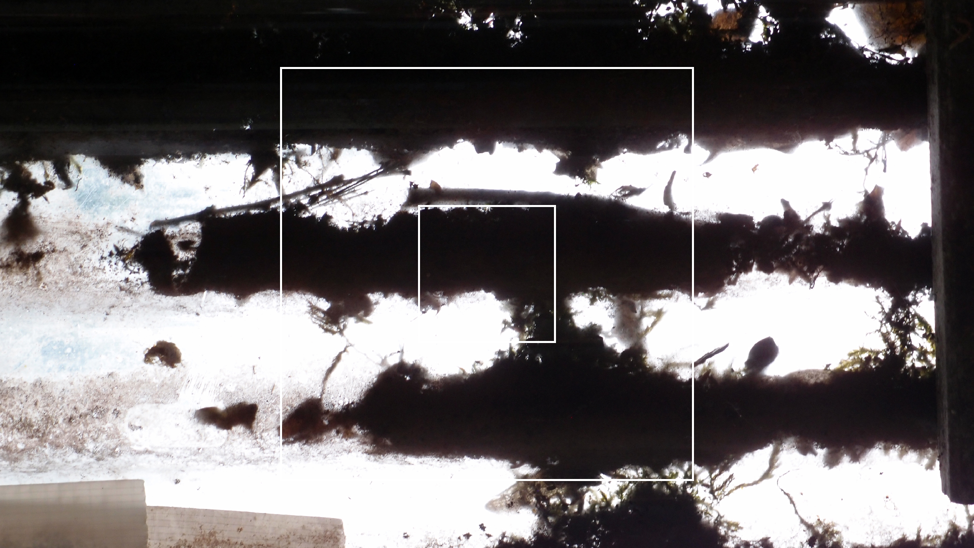 2022-06-19 Das Kleine Regen Rhythmus Orchester (4 Styropor) (Audio, Video)