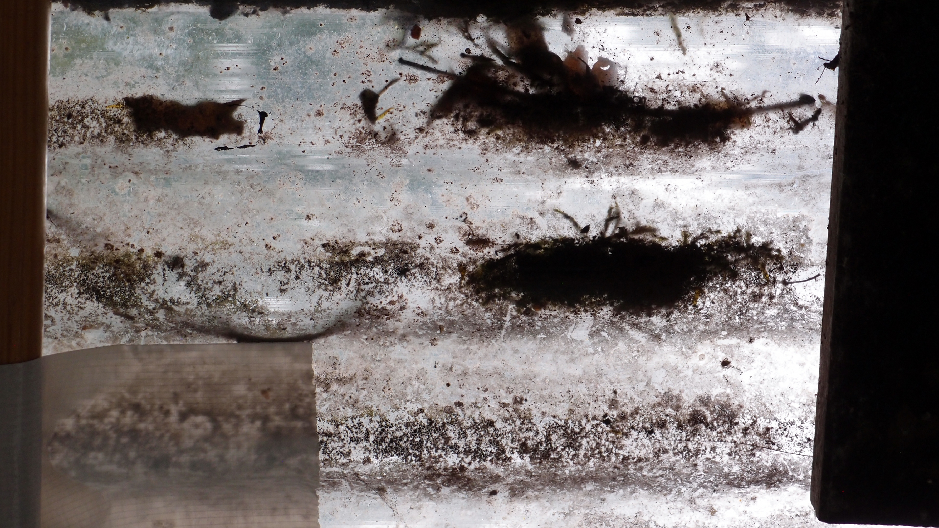 2022-06-19 Das Kleine Regen Rhythmus Orchester (4 Styropor) (Audio, Video)