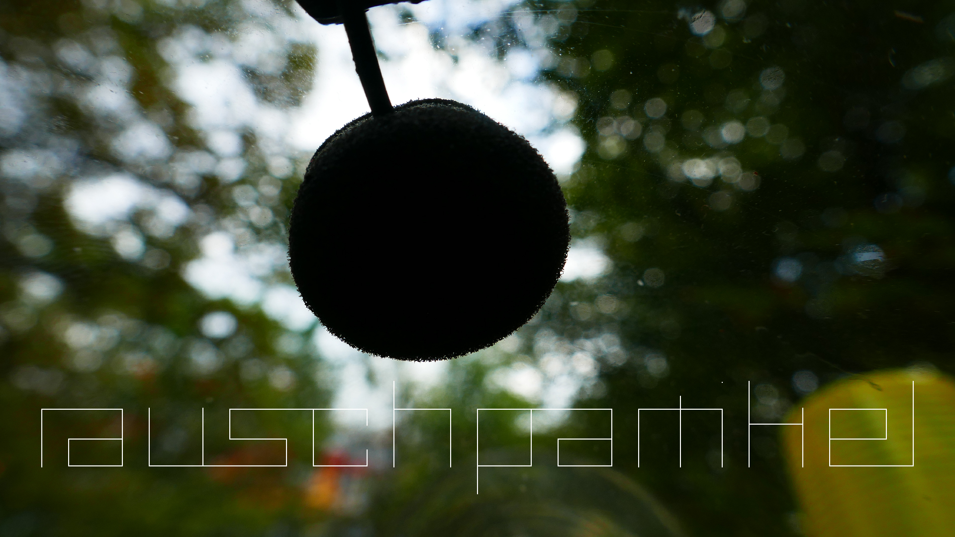 2022-07-01 Das Kleine Regen Rhythmus Orchester (Plaste und Glas) (Audio, Video)