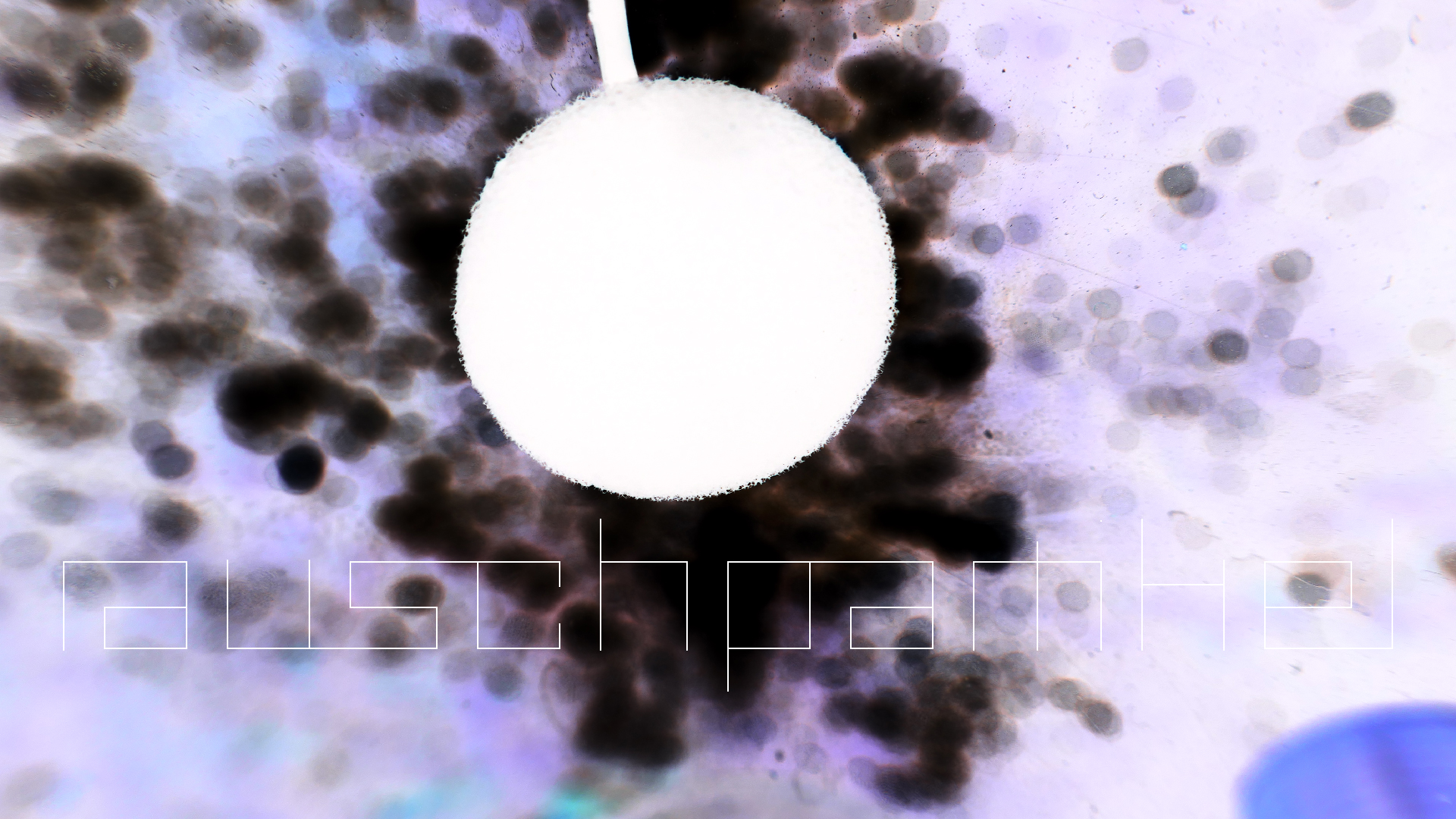 2022-07-01 Das Kleine Regen Rhythmus Orchester (Plaste und Glas) (Audio, Video)