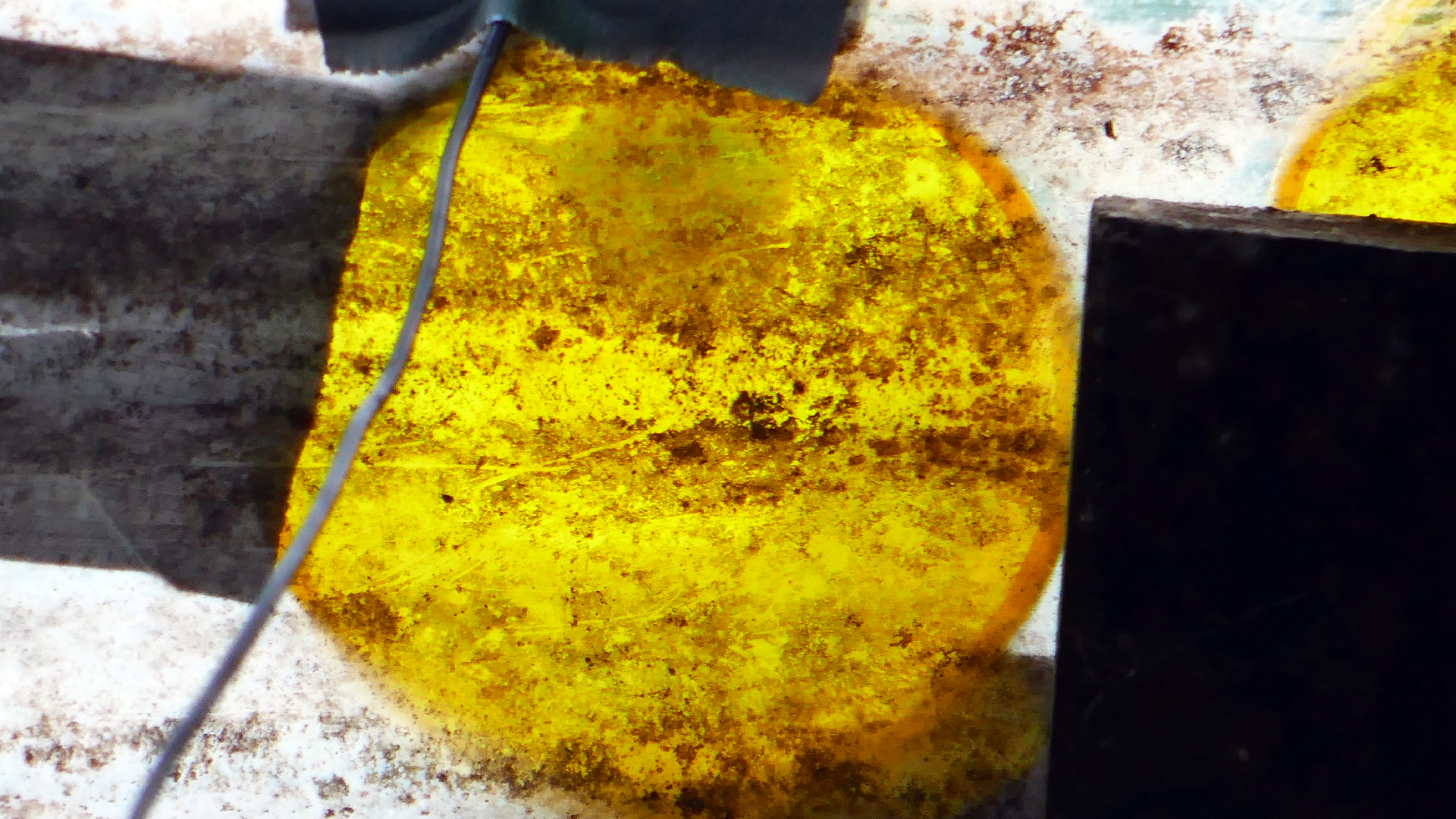 2022-07-01 Das Kleine Regen Rhythmus Orchester (Plaste und Glas) (Audio, Video)