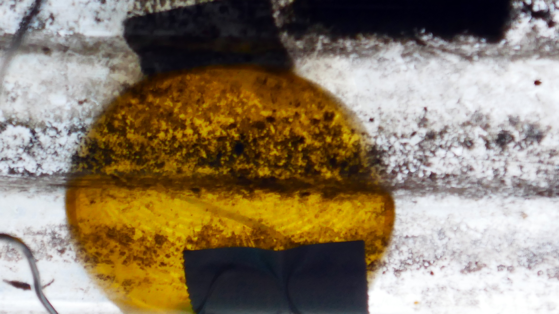 2022-07-01 Das Kleine Regen Rhythmus Orchester (Plaste und Glas) (Audio, Video)