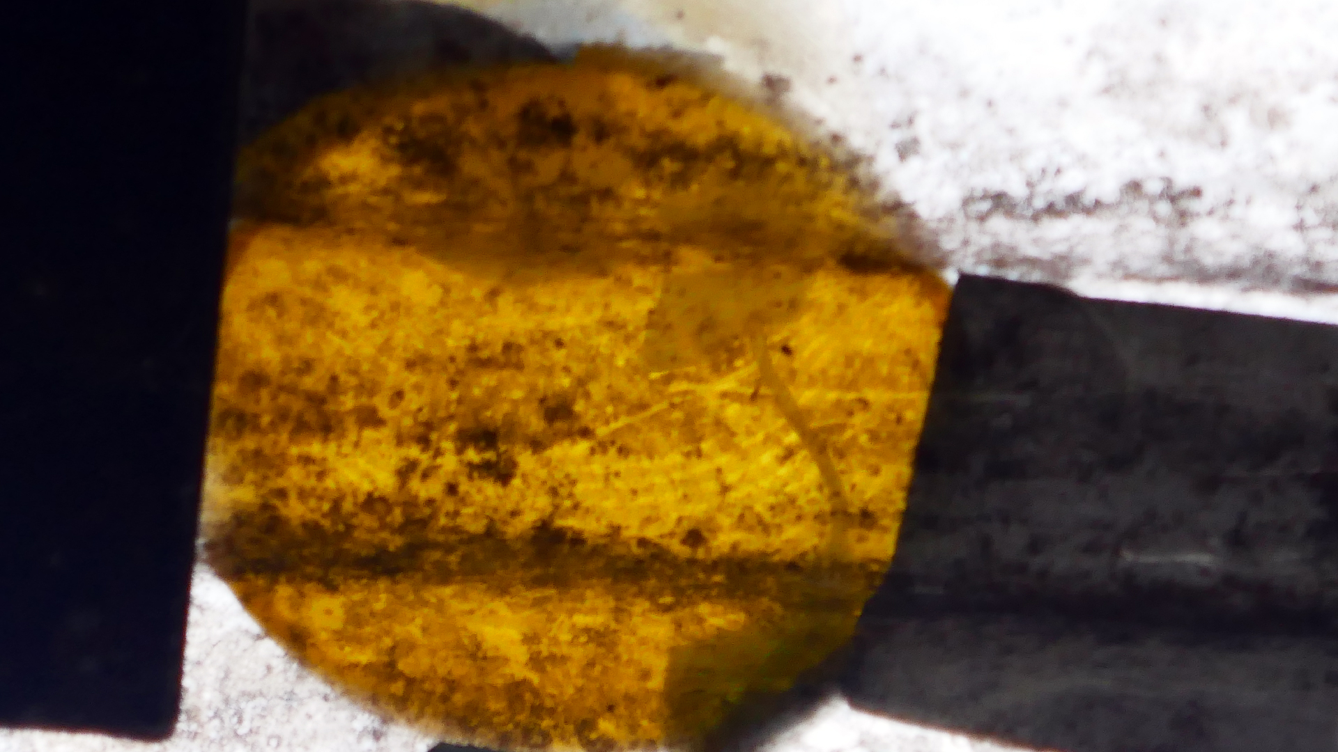 2022-07-01 Das Kleine Regen Rhythmus Orchester (Plaste und Glas) (Audio, Video)