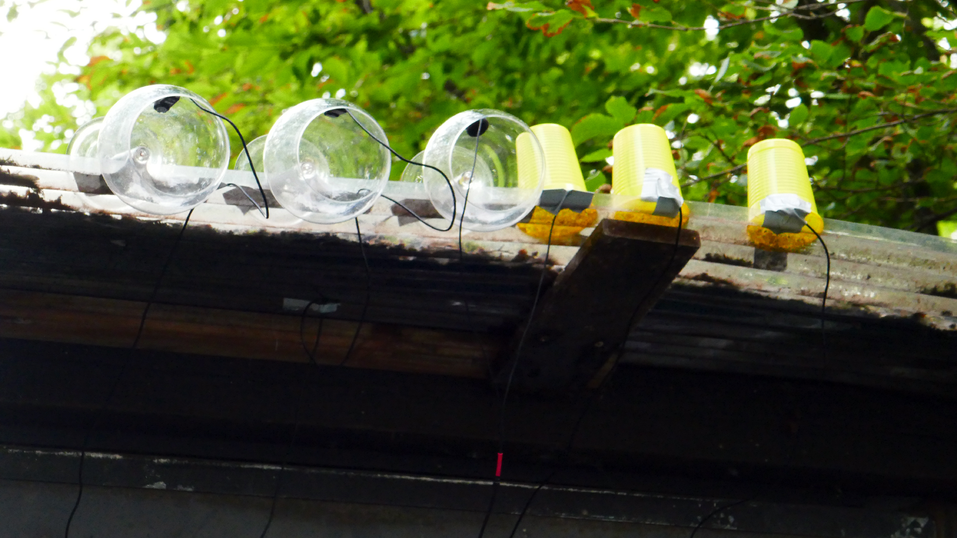 2022-07-01 Das Kleine Regen Rhythmus Orchester (Plaste und Glas) (Audio, Video)