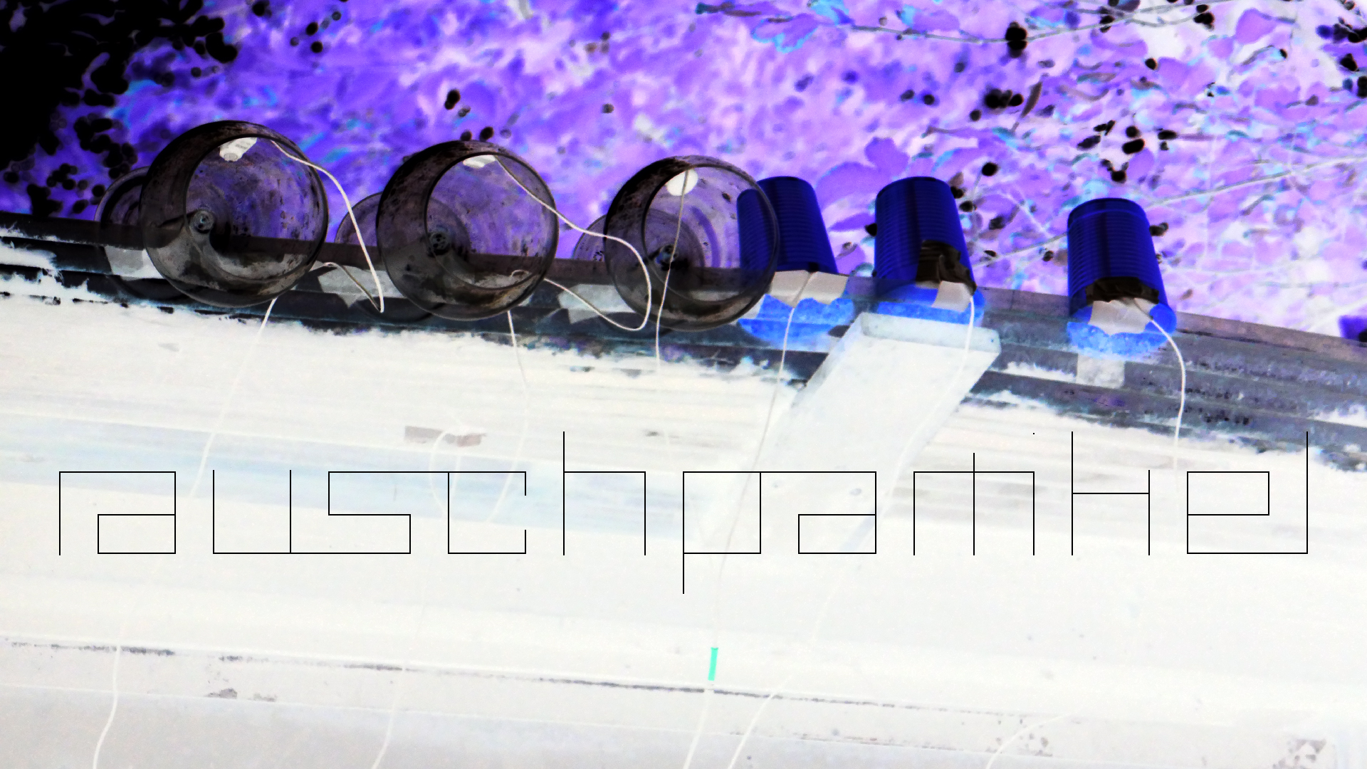 2022-07-01 Das Kleine Regen Rhythmus Orchester (Plaste und Glas) (Audio, Video)