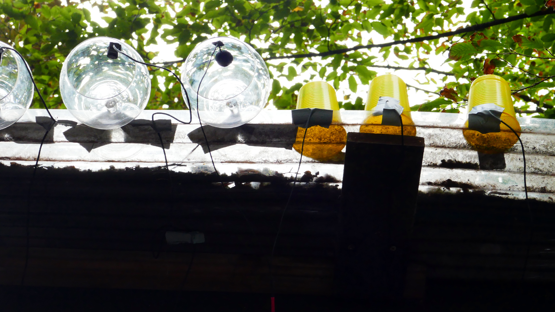 2022-07-01 Das Kleine Regen Rhythmus Orchester (Plaste und Glas) (Audio, Video)