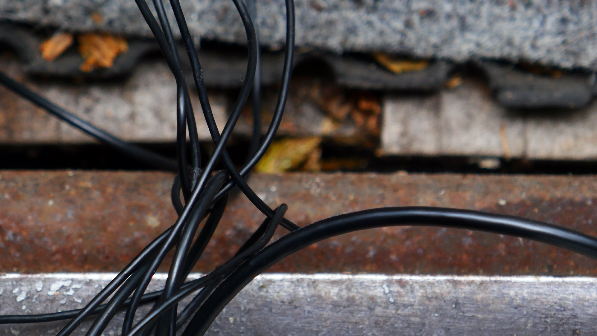 2022-08-19 Das Kleine Regen Rhythmus Orchester (Alublech) (Audio, Foto)