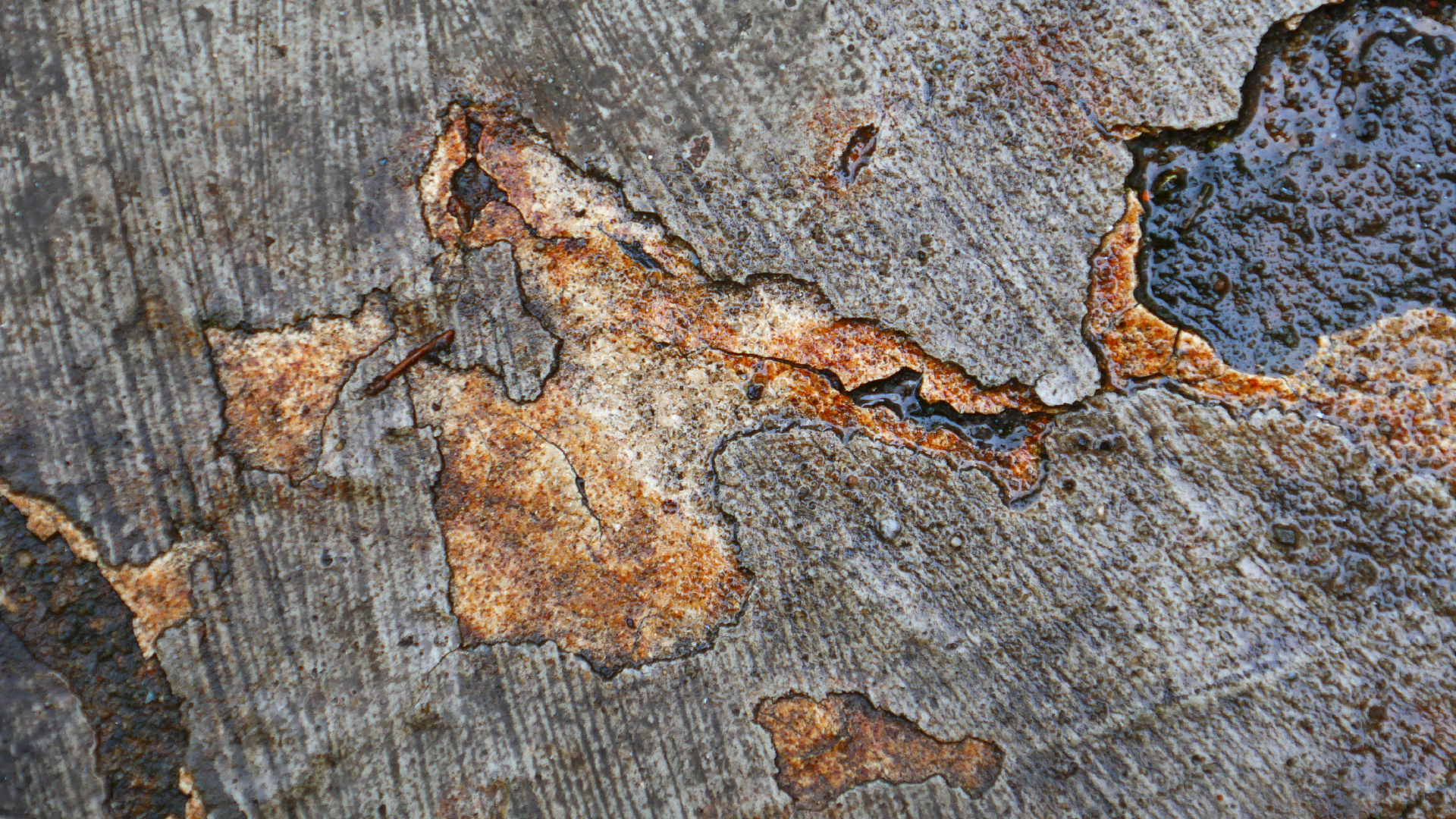 2022-08-19 Das Kleine Regen Rhythmus Orchester (Alublech) (Audio, Foto)