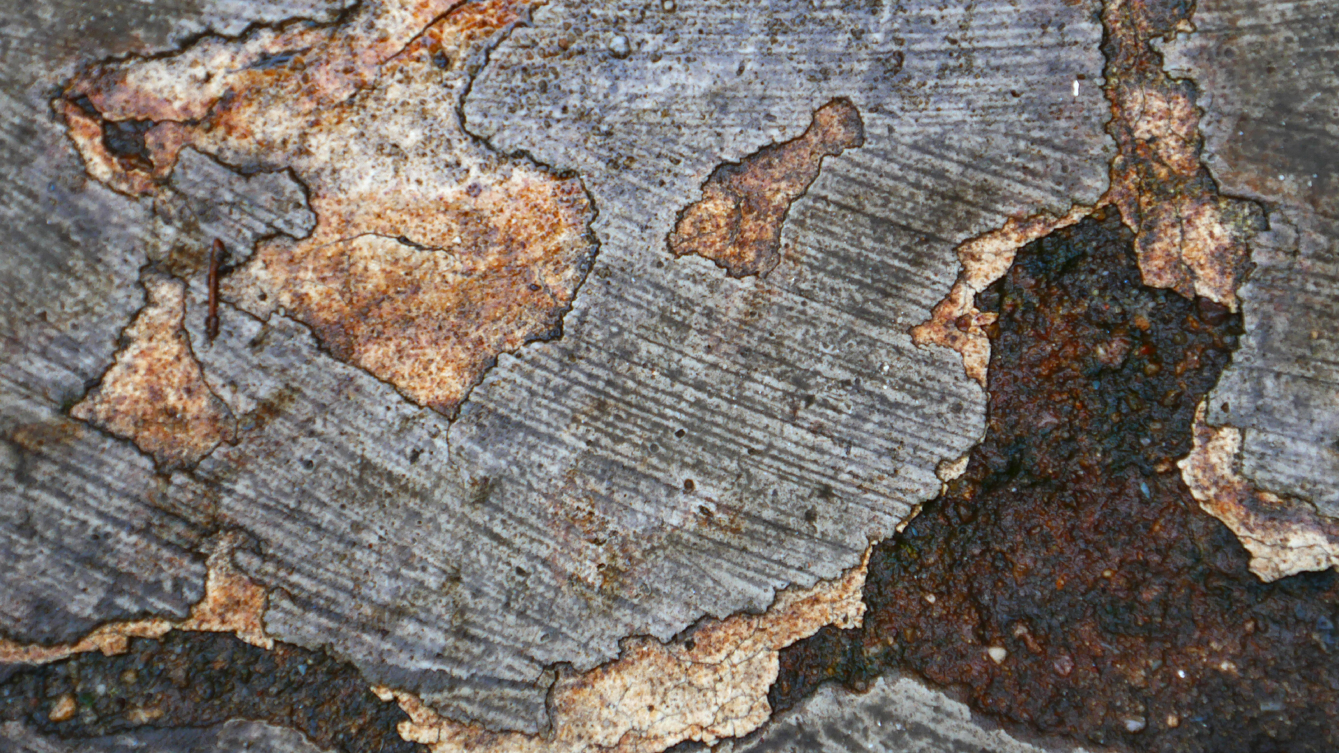 2022-08-19 Das Kleine Regen Rhythmus Orchester (Alublech) (Audio, Foto)